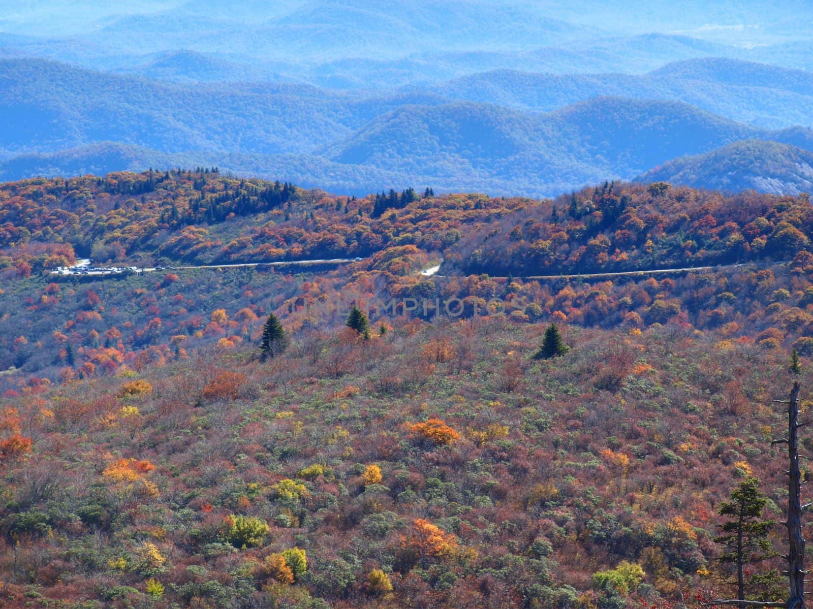 View along the Art Loeb trail in western North Carolina