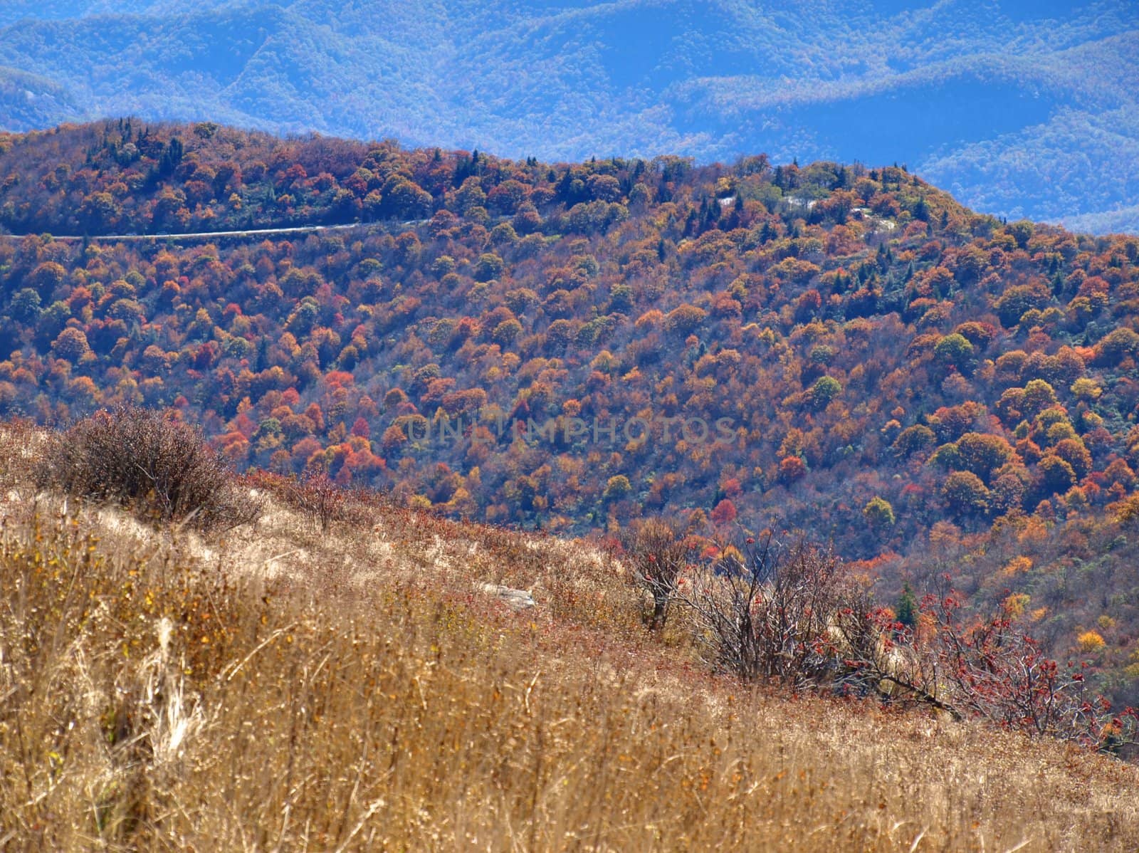 View along the Art Loeb trail in western North Carolina