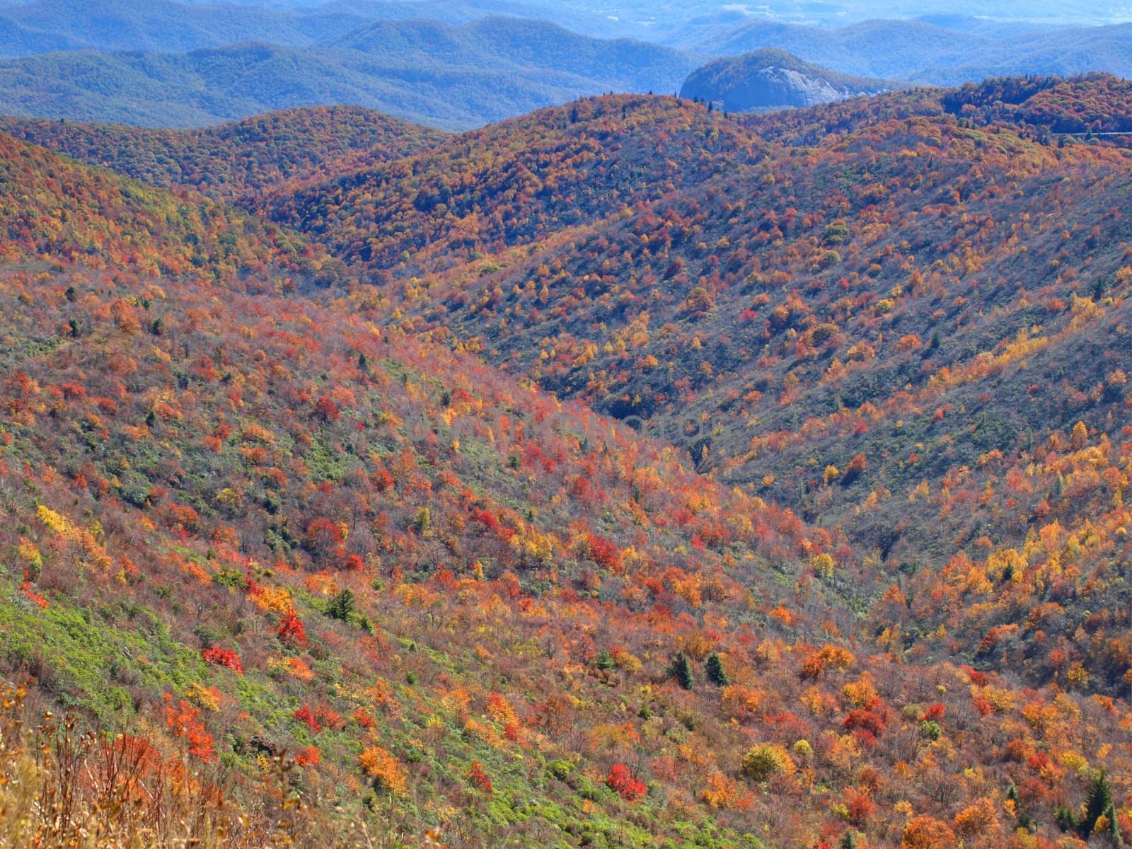 View along the Art Loeb trail in western North Carolina