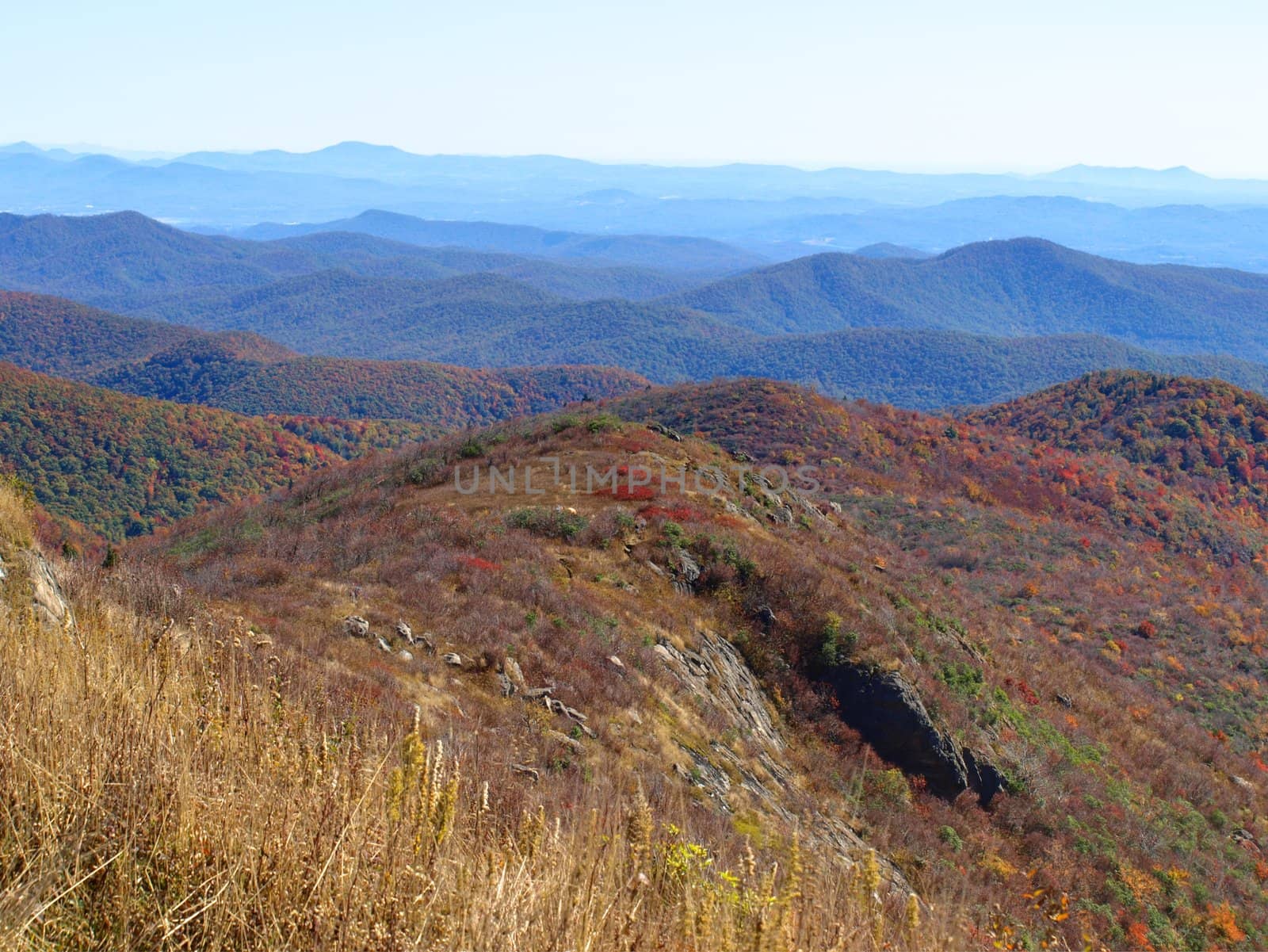 View along the Art Loeb trail in western North Carolina