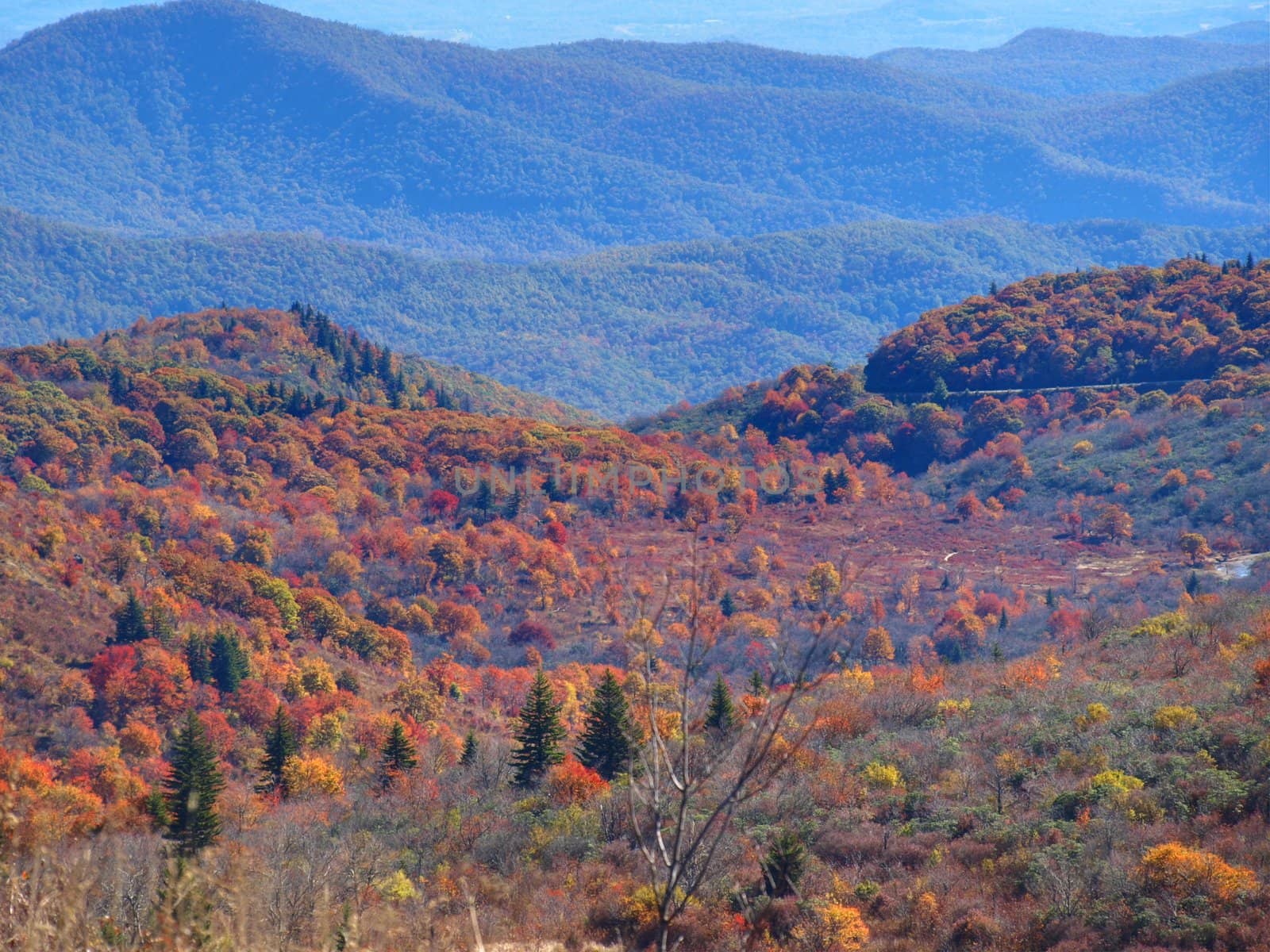 View along the Art Loeb trail in western North Carolina