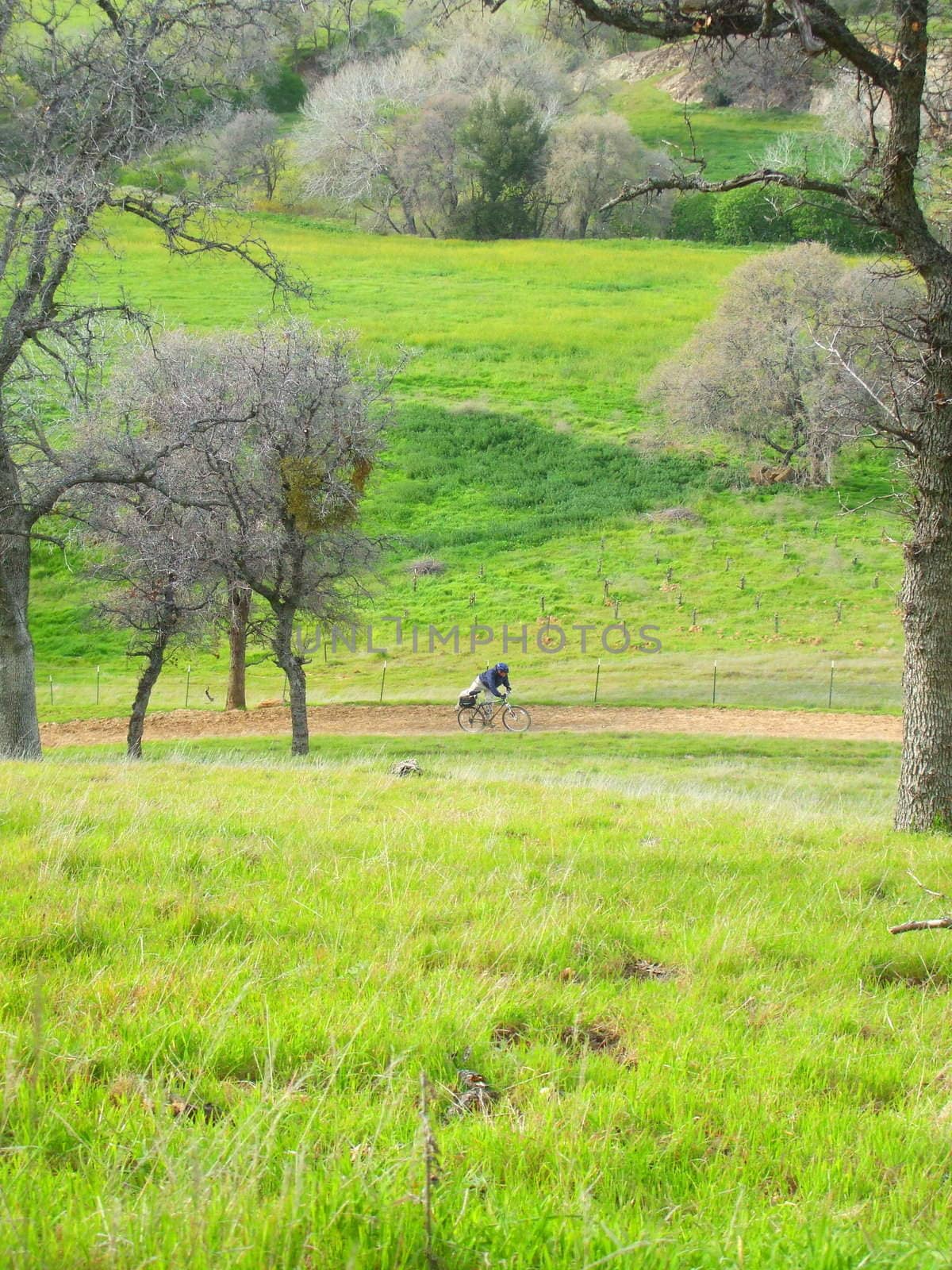 Biker in a park on a sunny day.