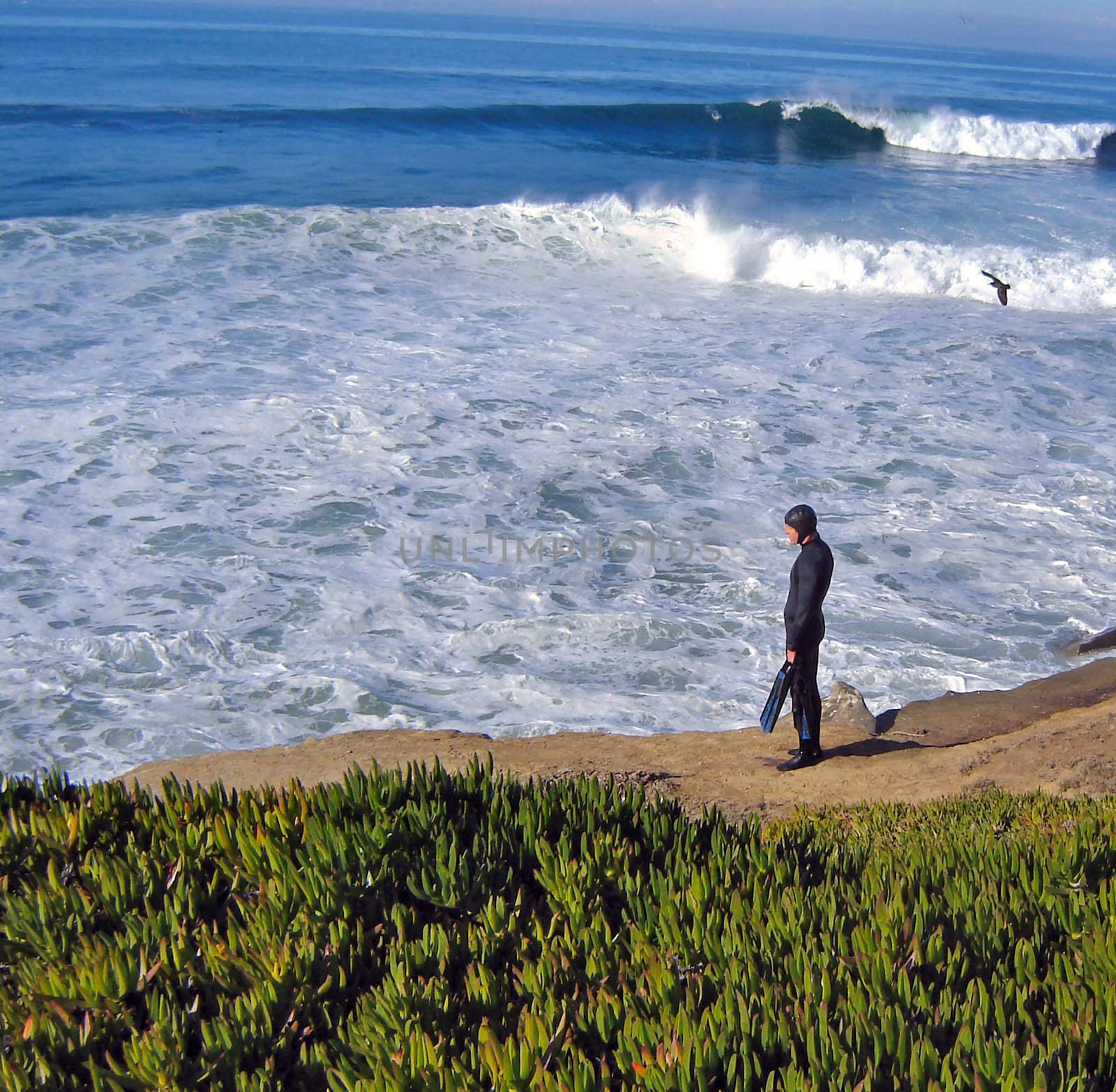 San Diego Diver by RefocusPhoto