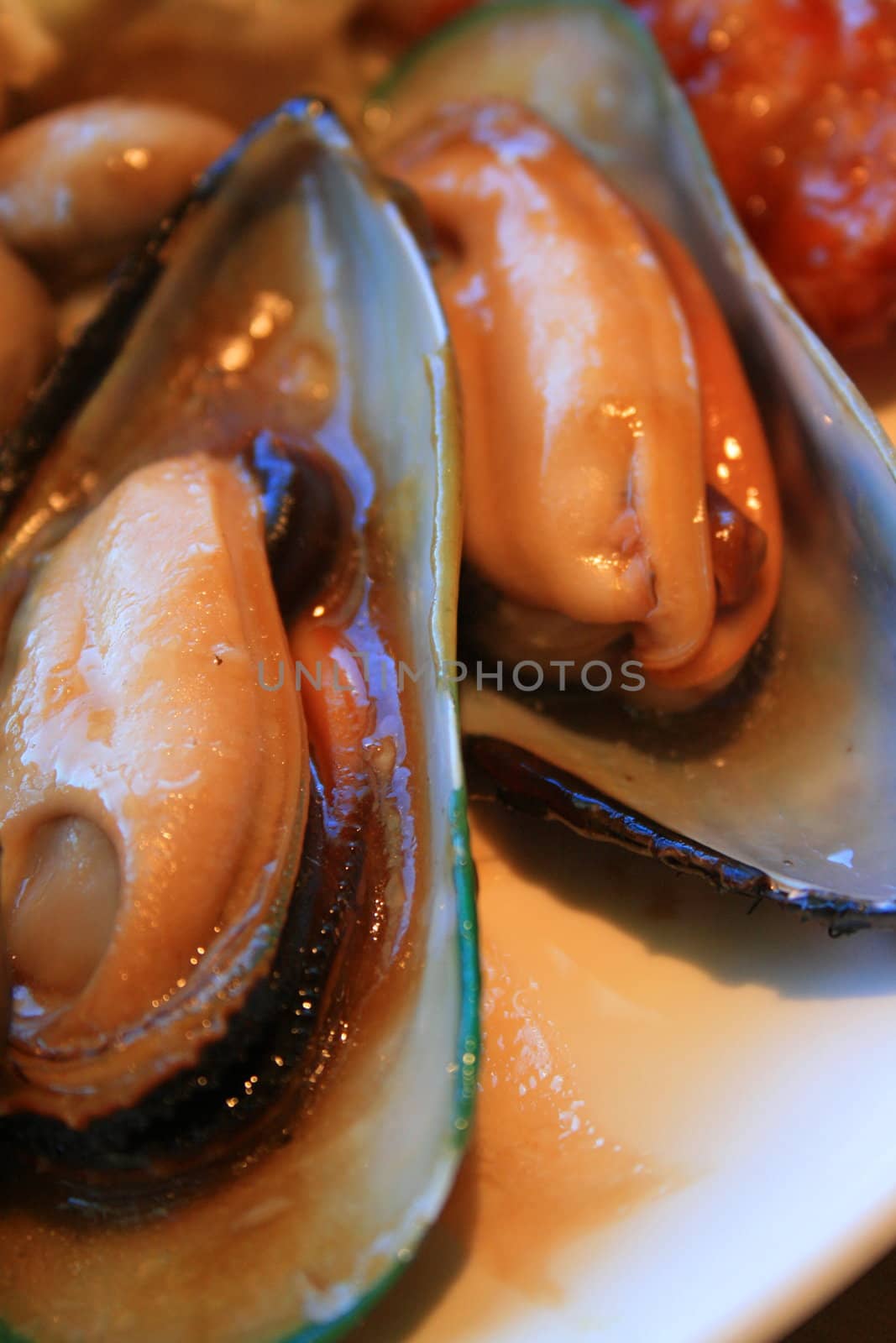 Cooked Mussels by MichaelFelix