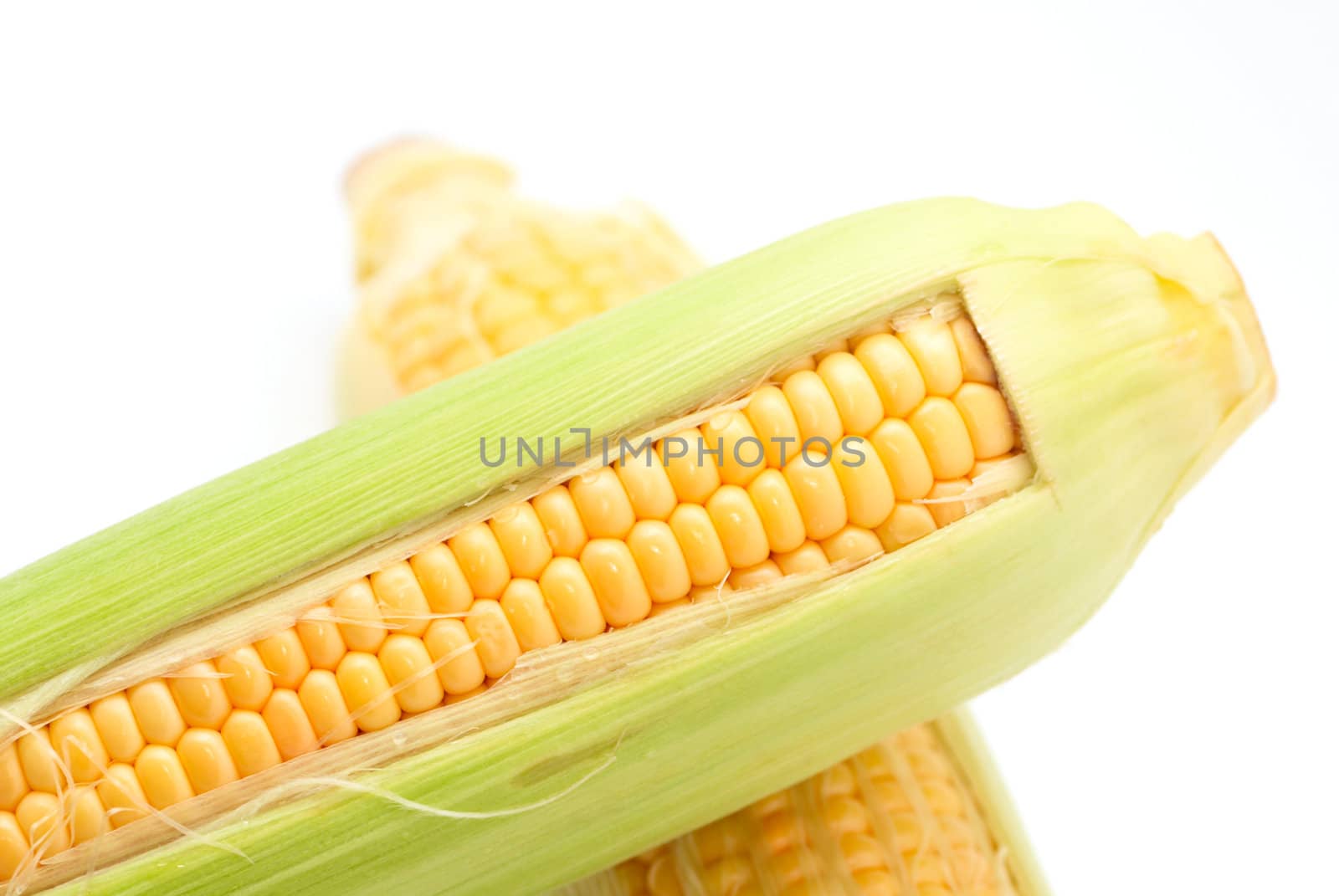 Crunchy Fresh Sweetcorn isolated on white