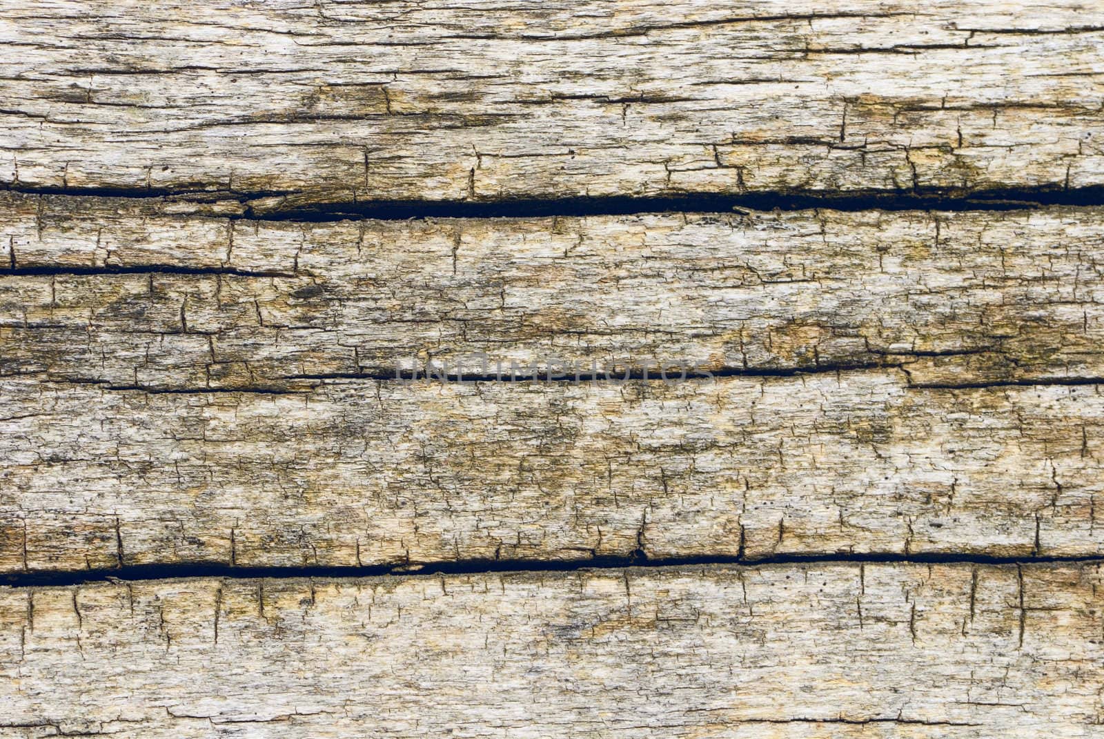 Old wooden background by Olinkau
