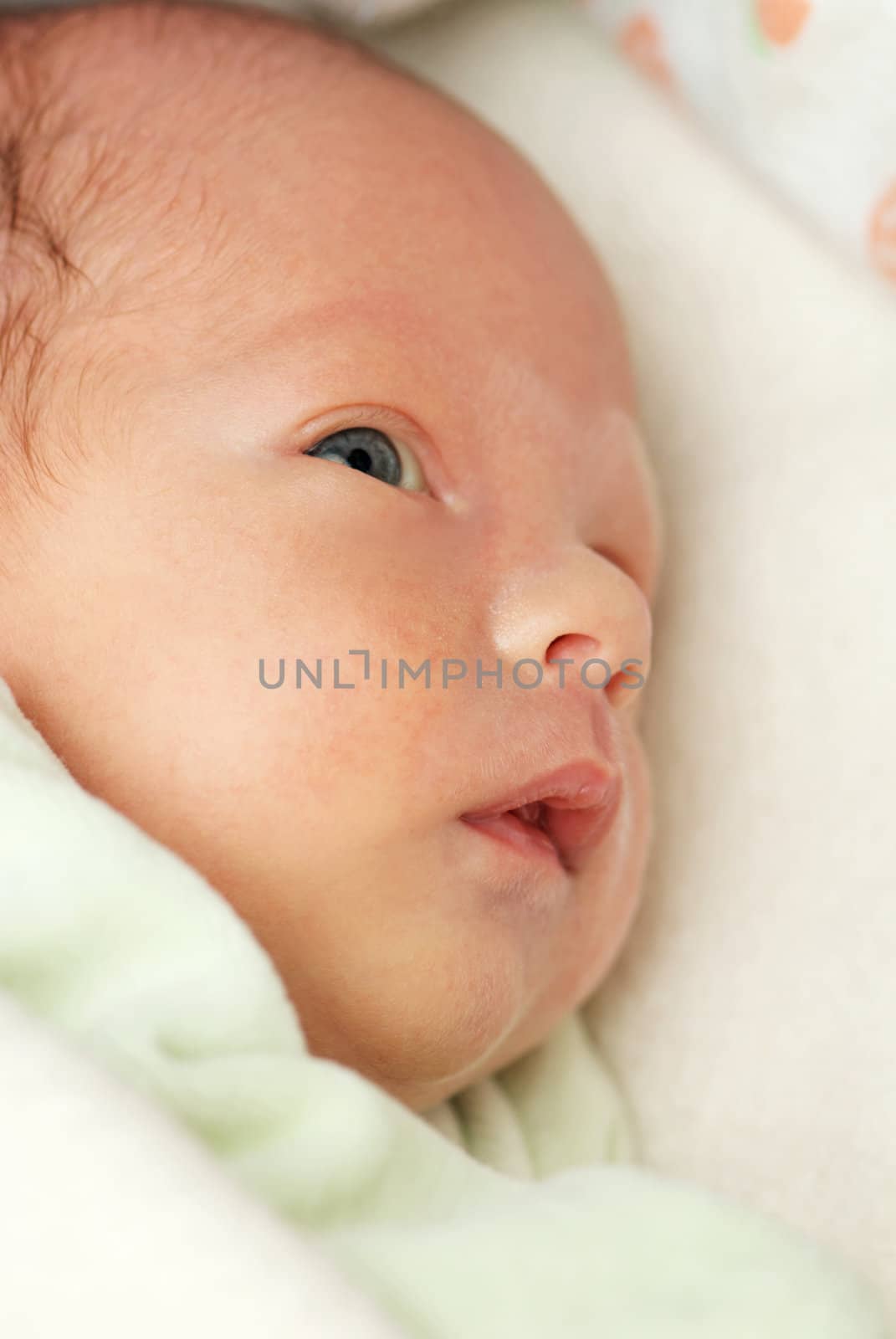 Portrait of newborn close-up