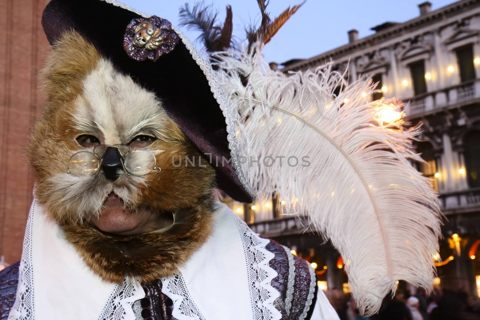 A masked man, dressed as Puss in Boots, the Piazza San Marco, Venice during the carnival