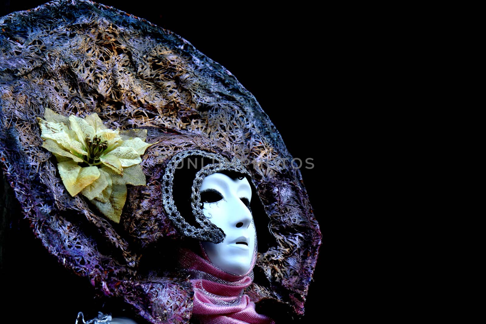 Portrait of a masked woman, at the Venice Carnival