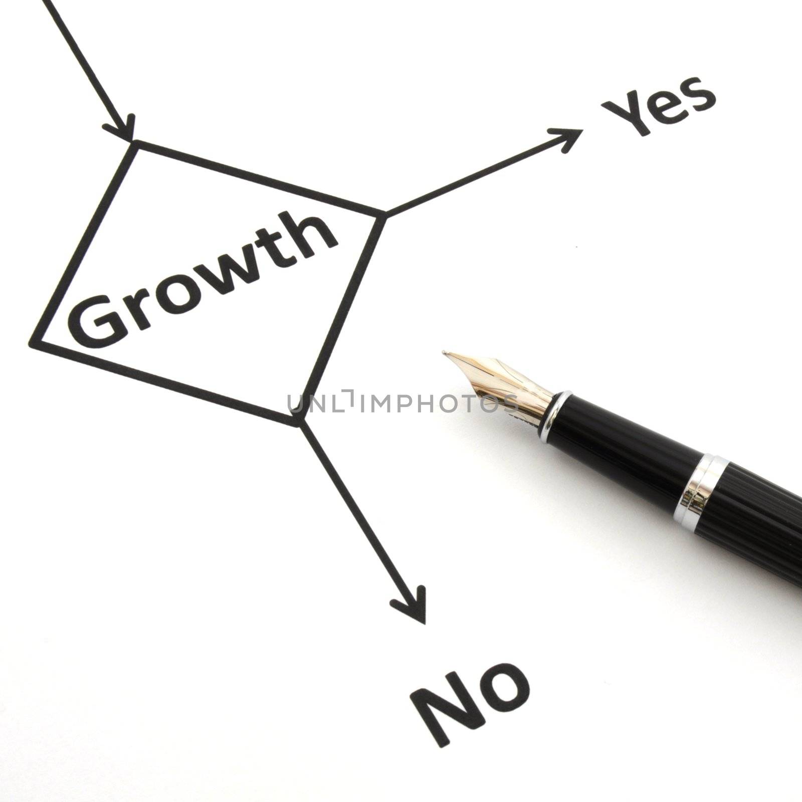 business or finance concept with word growth in flow chart