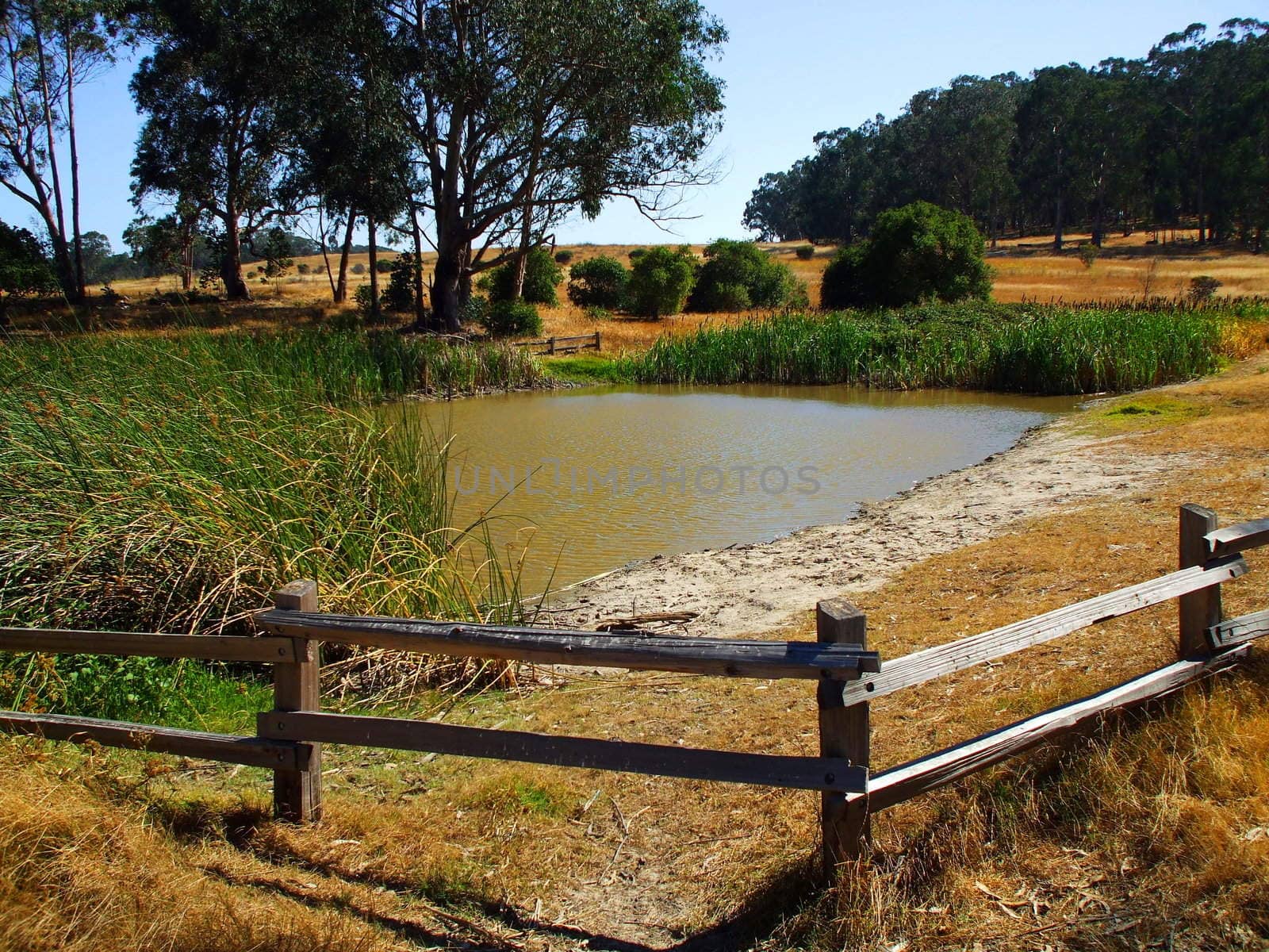 River in a park on a sunny day.