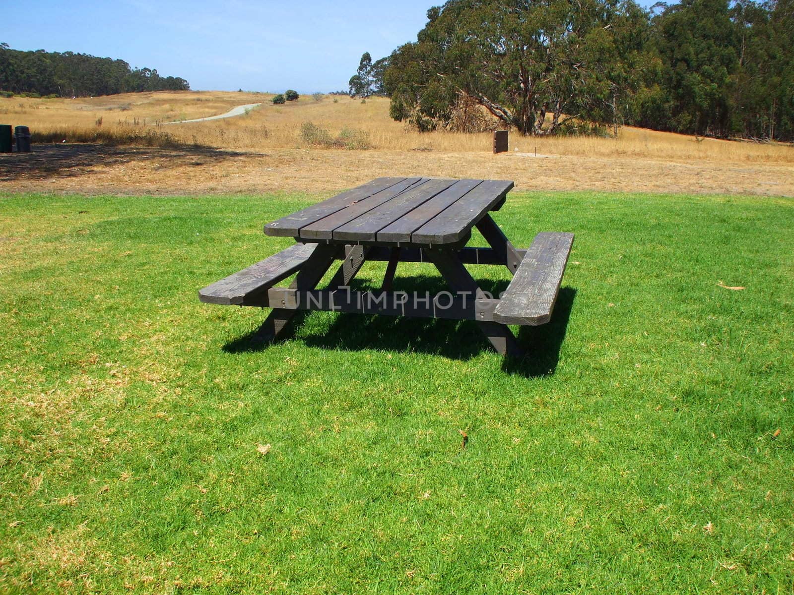 Picnic table in a park on a sunny day.