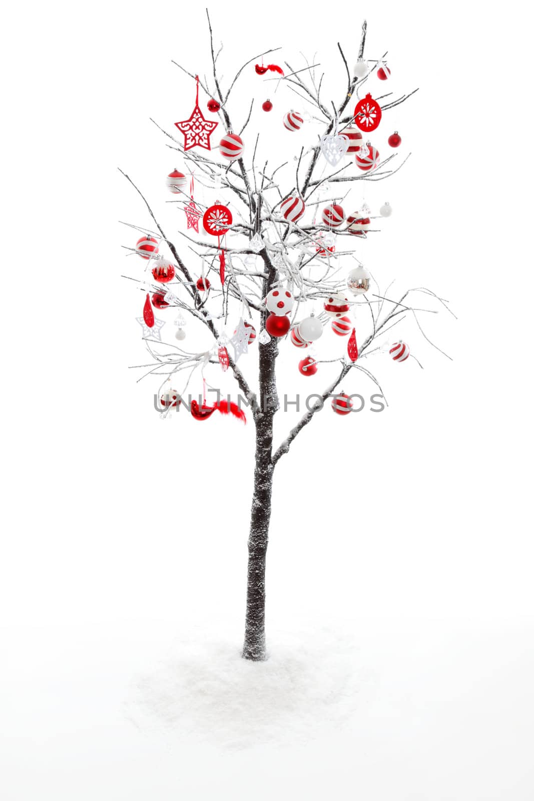 Snow covered branches and twigs of a deciduous tree is decorated with red and white Christmas baubles