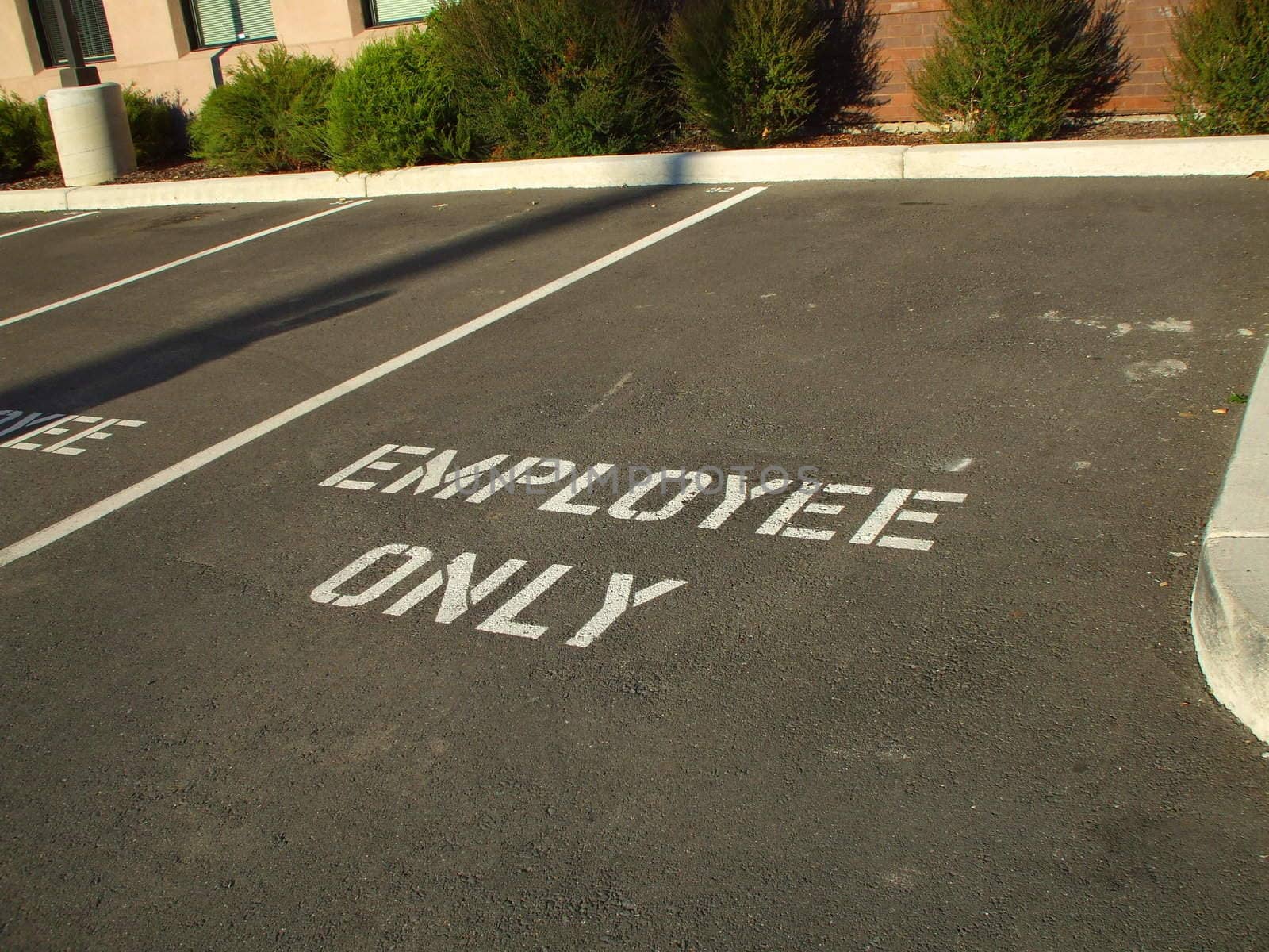 Parking spaces on a big parking lot.