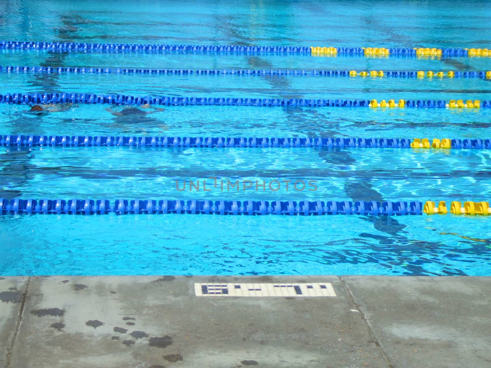 Swimming pool on a sunny day.