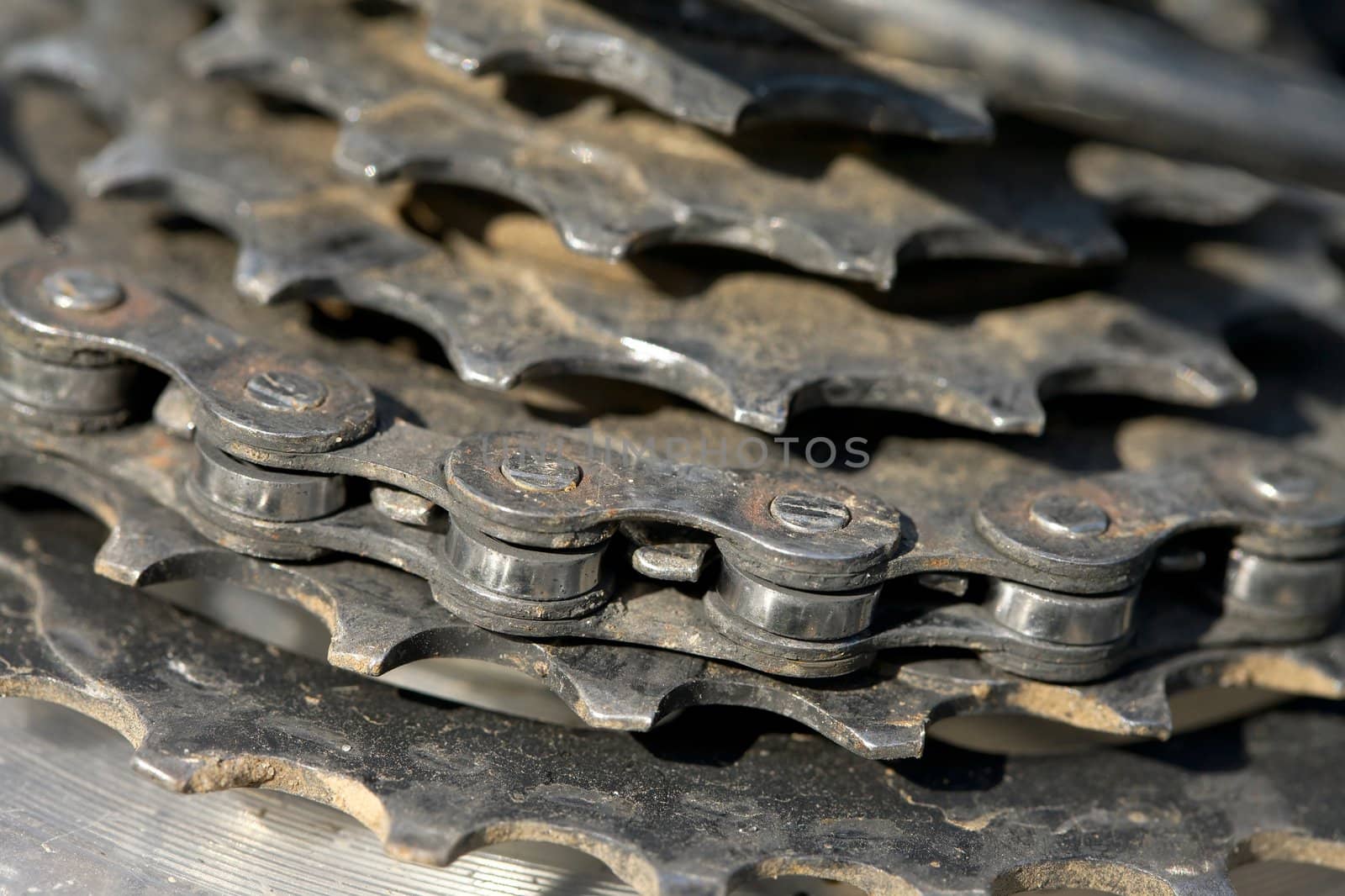 detail of a bicycle gear