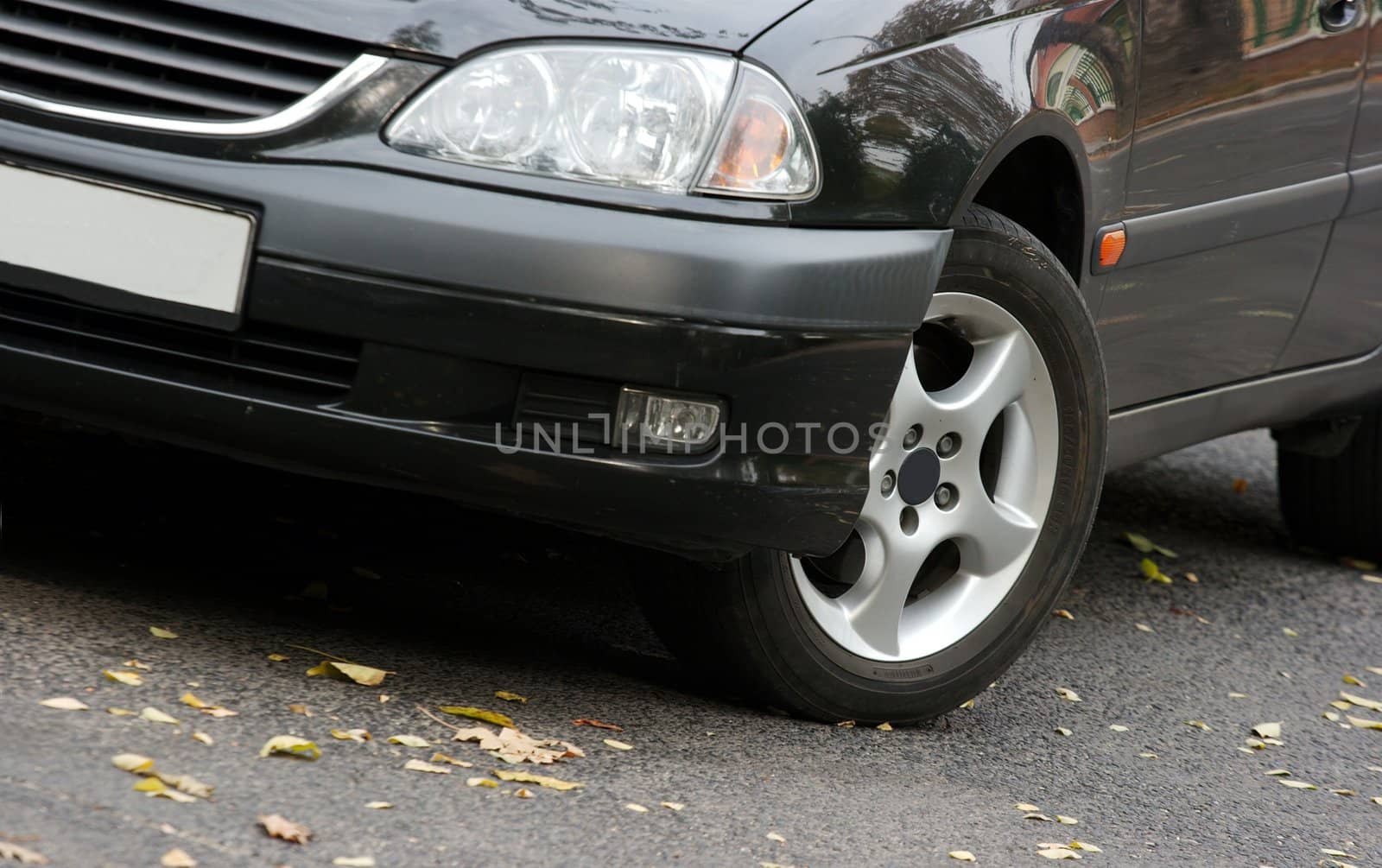 Car on the road with fallen leaves