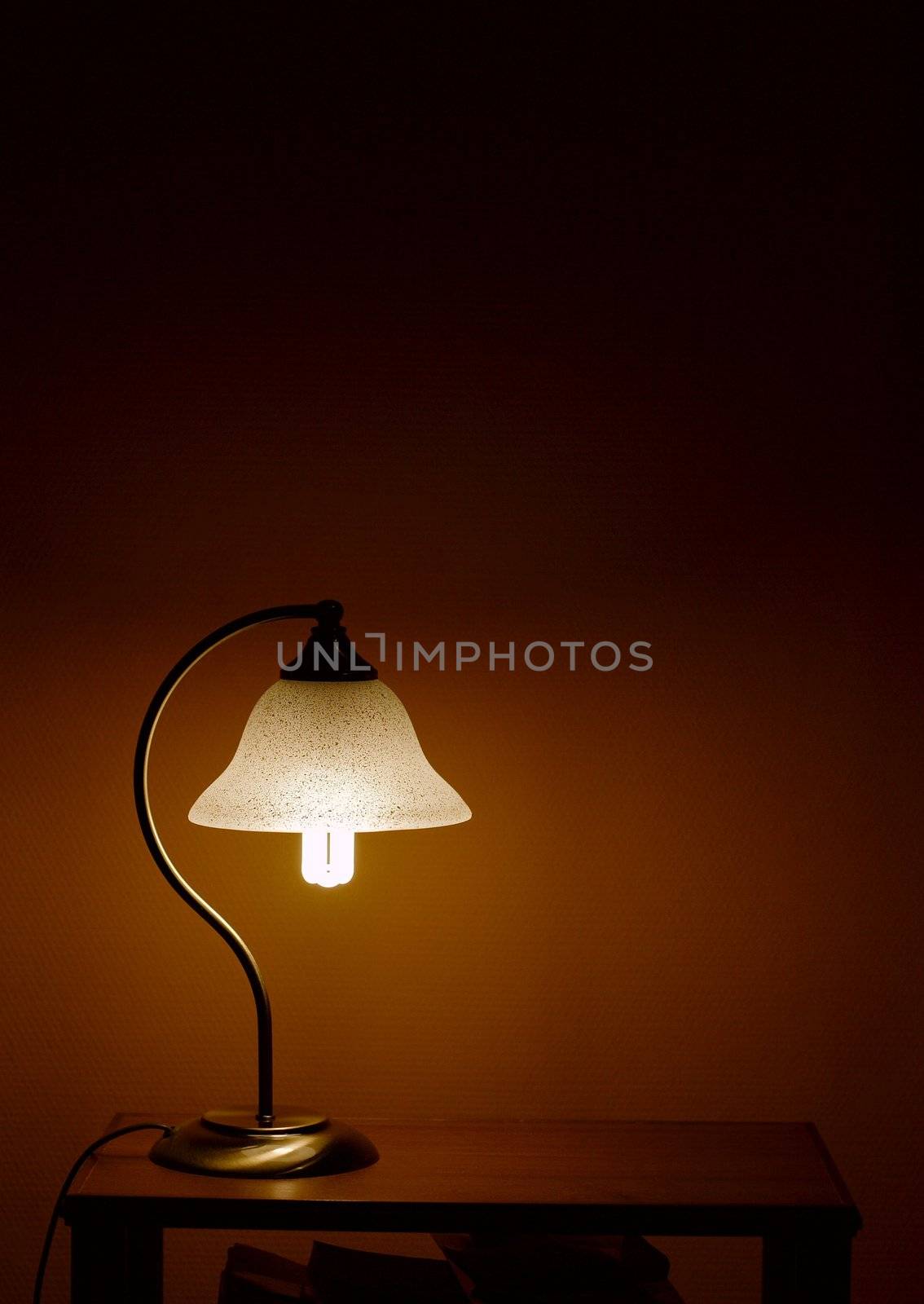 Lamp by Gudella