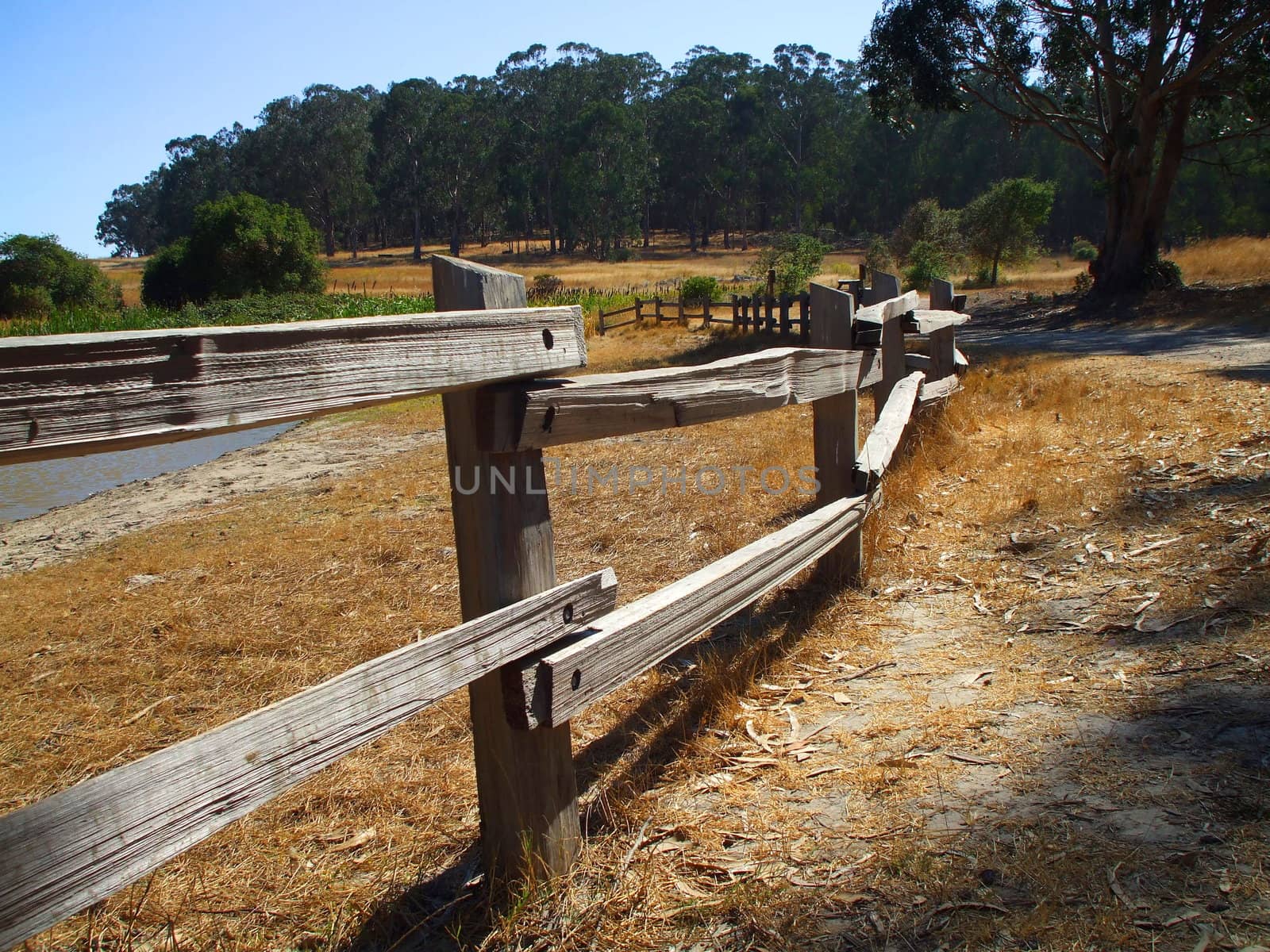 Close up of a rustic fence in a forest.