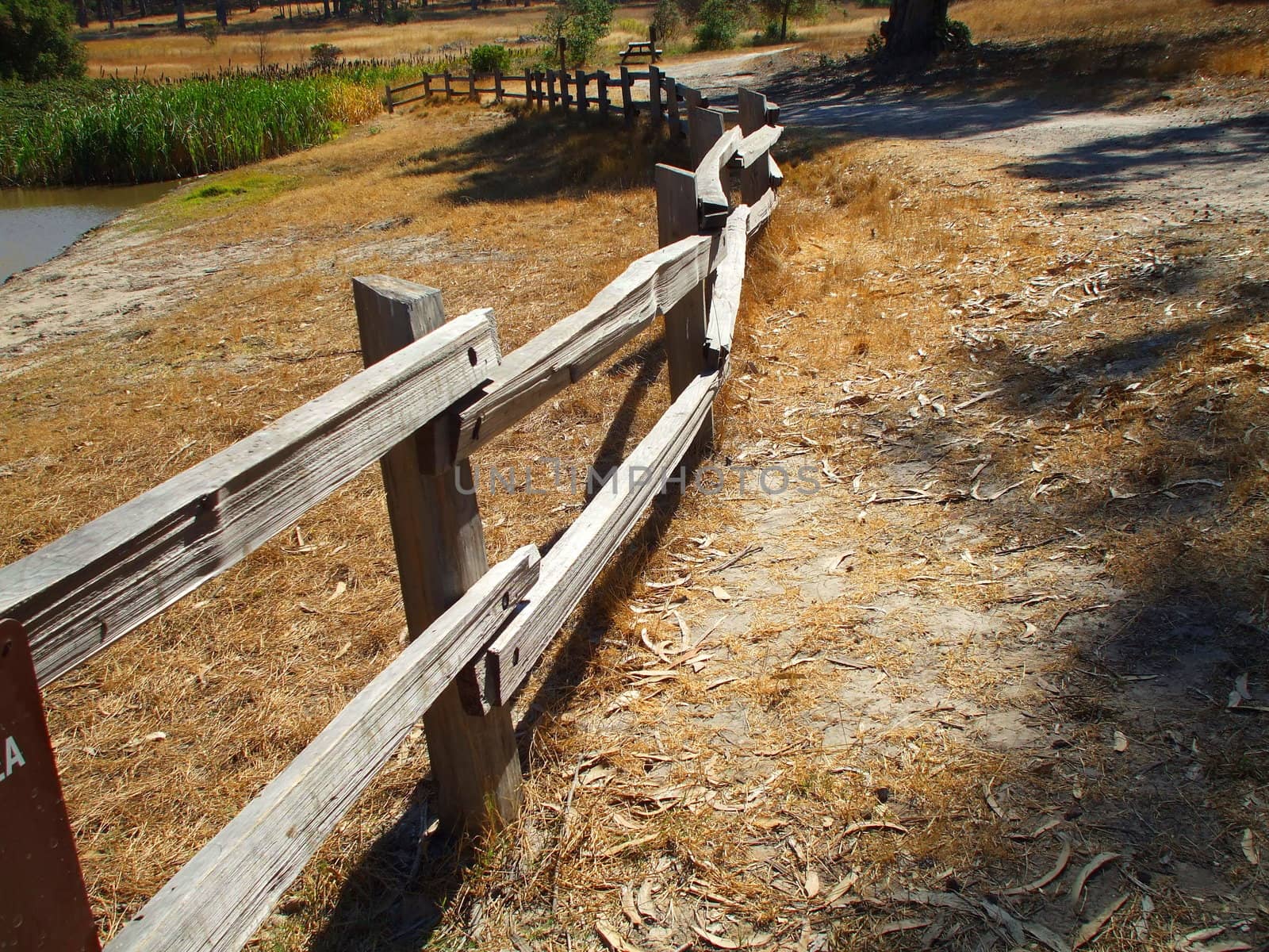 Close up of a rustic fence in a forest.