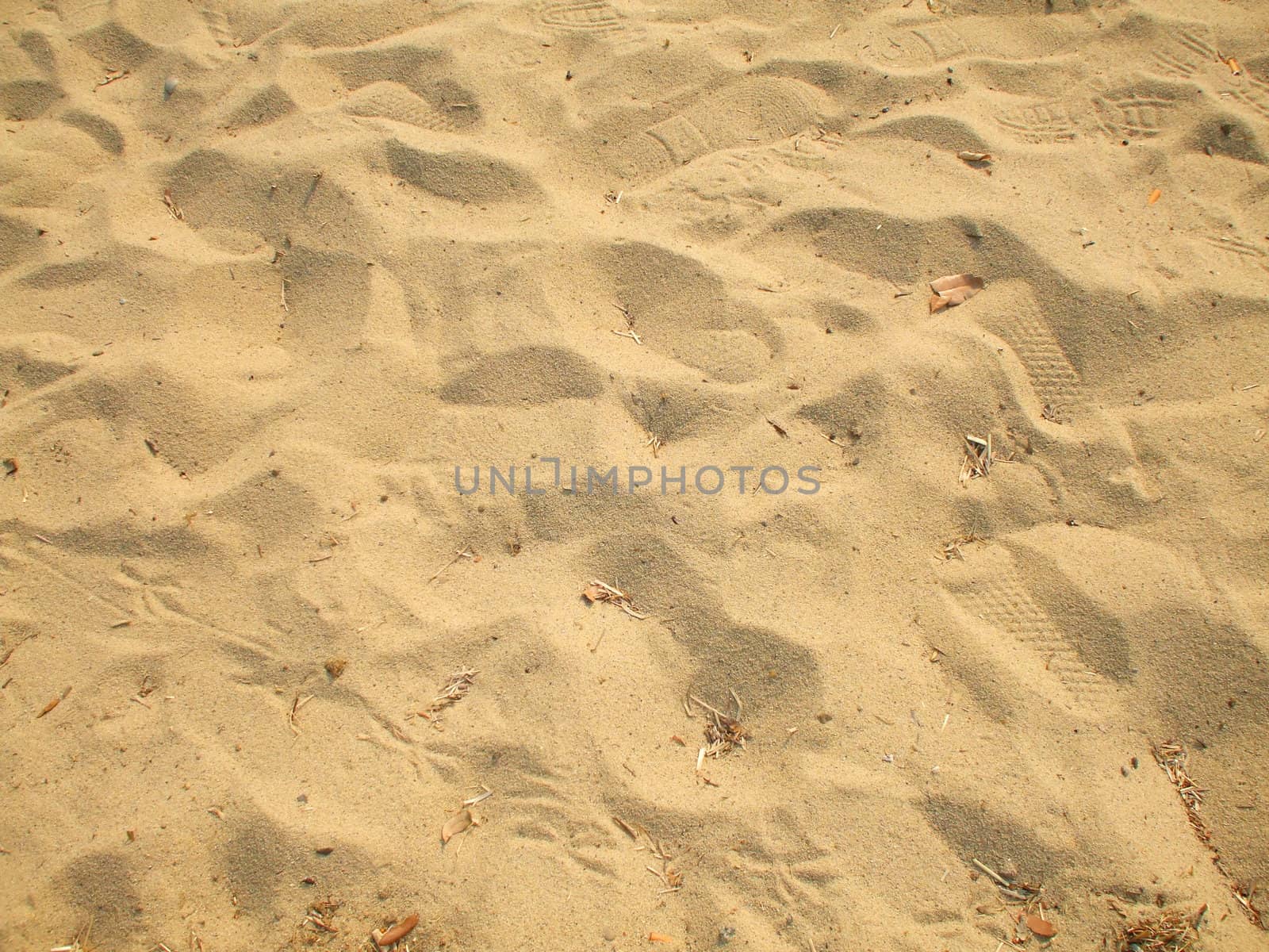 Close up of a sand on a beach.