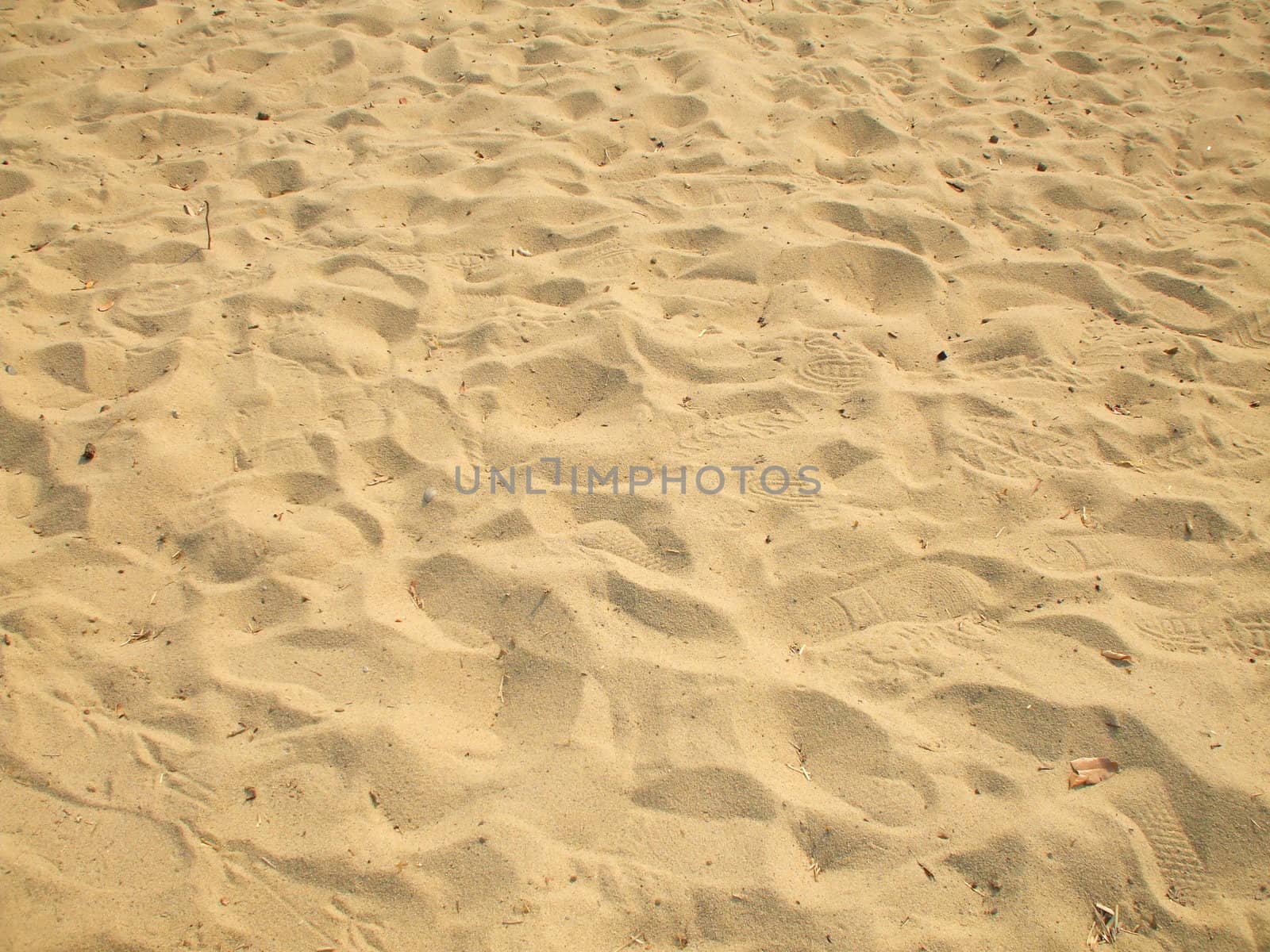 Close up of a sand on a beach.