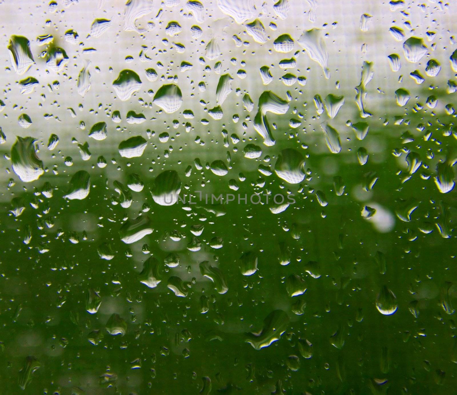 Many raindrops on the window surface