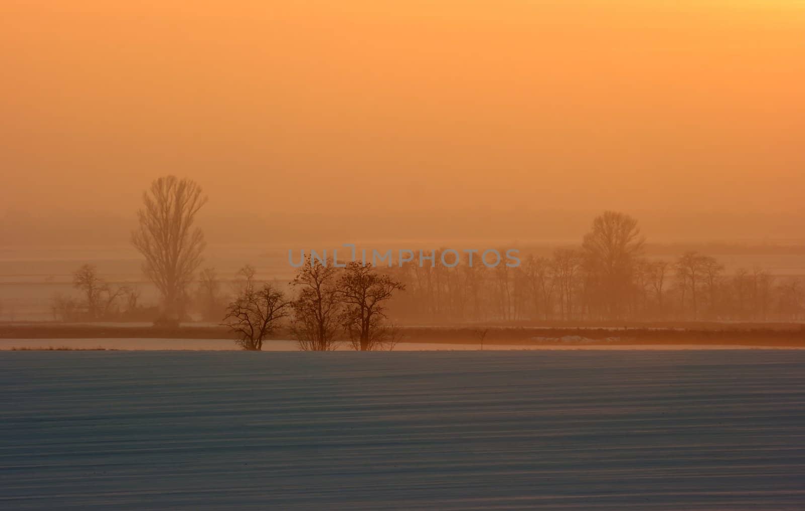 Snowy field landscape with the glowing sky of the sunset