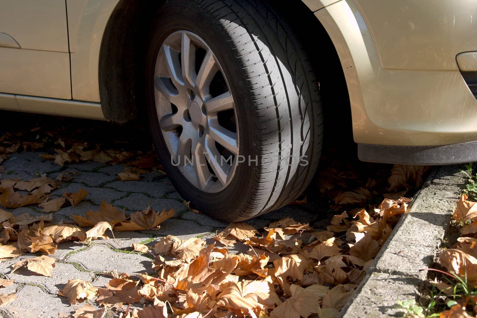 Wheel of a parking car surrounded by fallen leaves