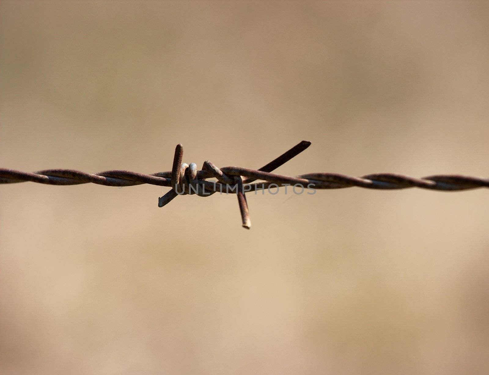 Barbed wire fence closeup with small DOF