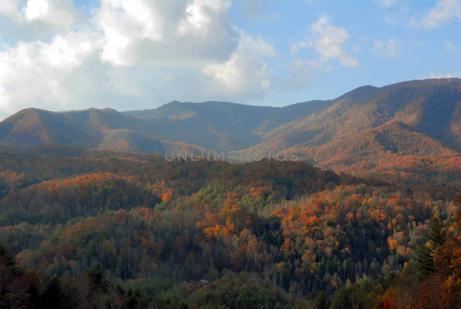 North Carolina in the Fall