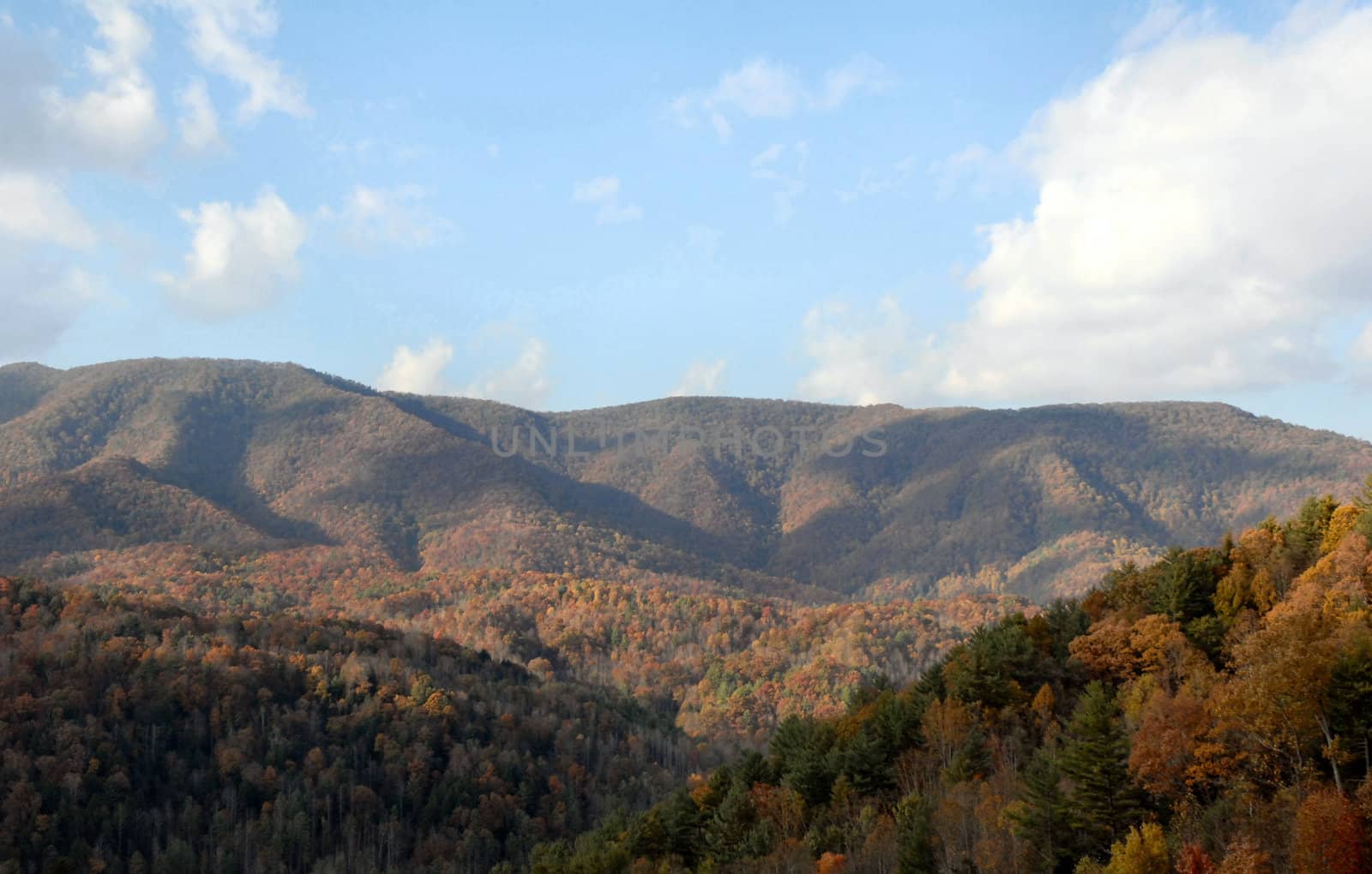 North Carolina in the Fall