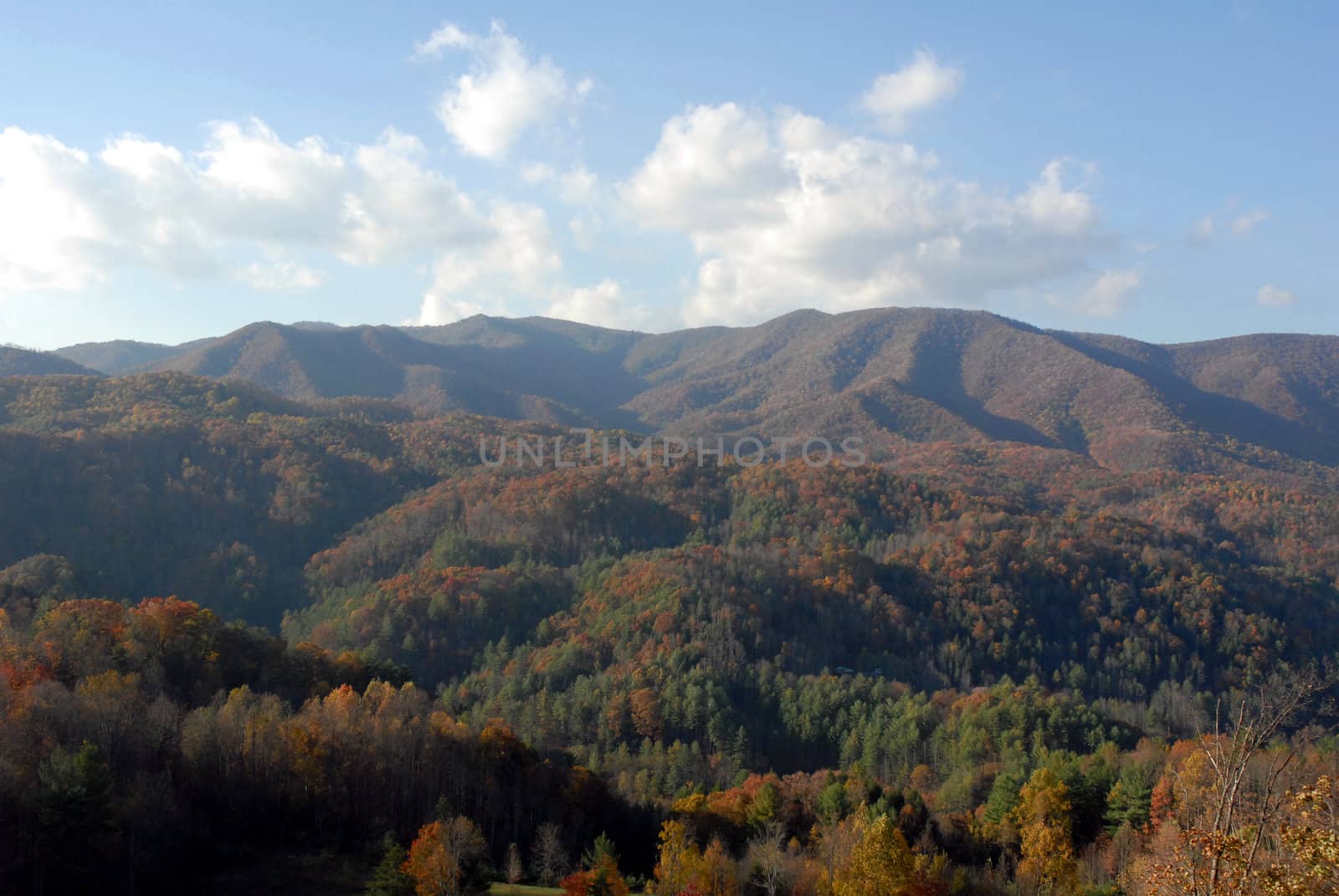 North Carolina in the Fall by RefocusPhoto