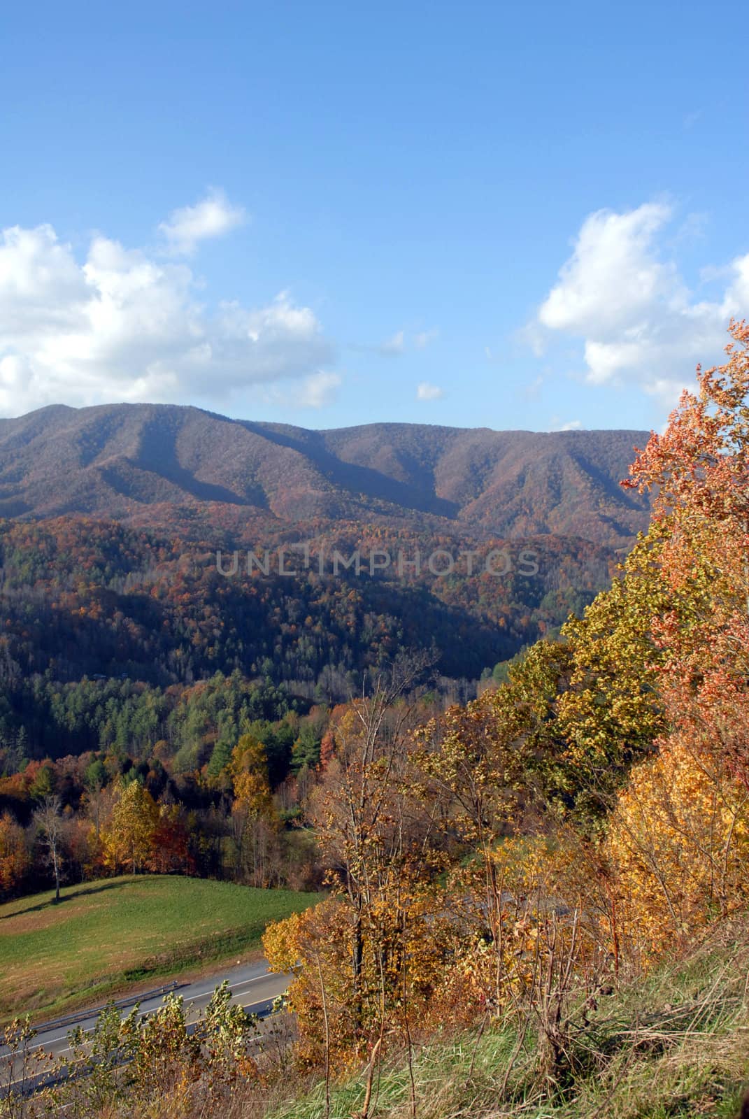 North Carolina in the Fall