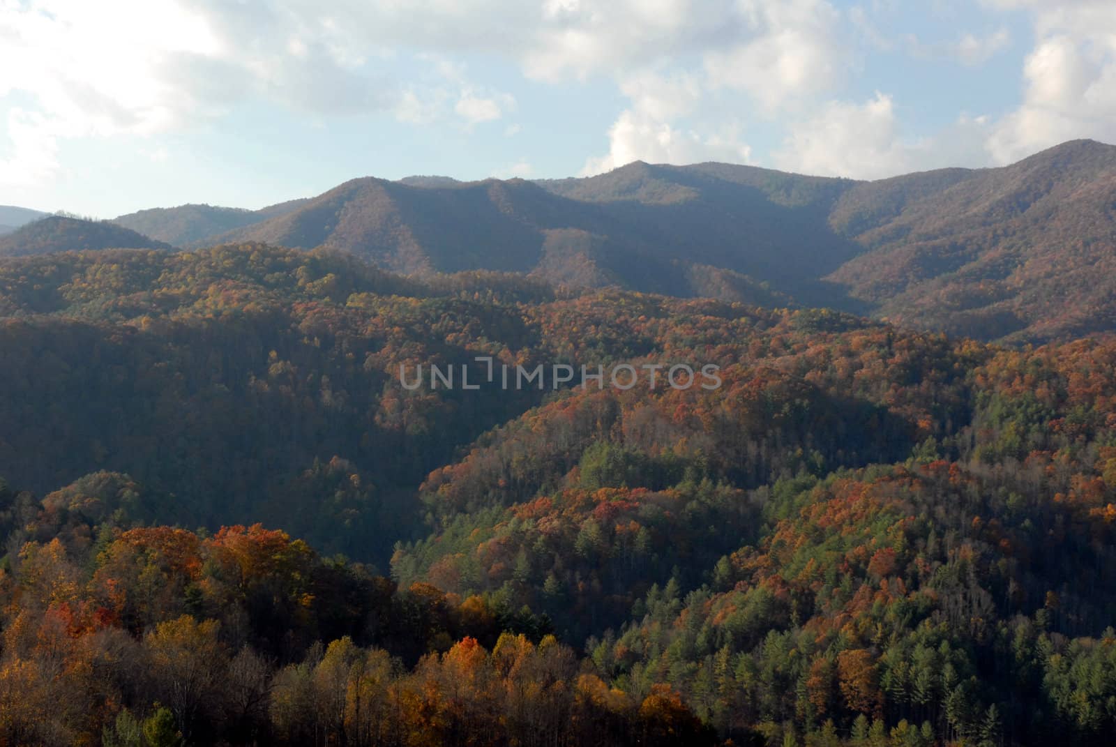 North Carolina in the Fall