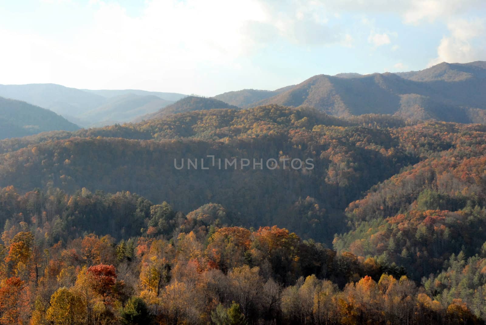 North Carolina in the Fall