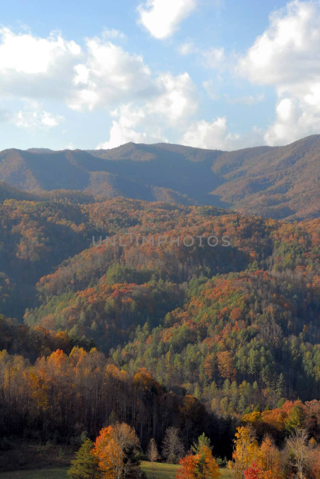 North Carolina in the Fall