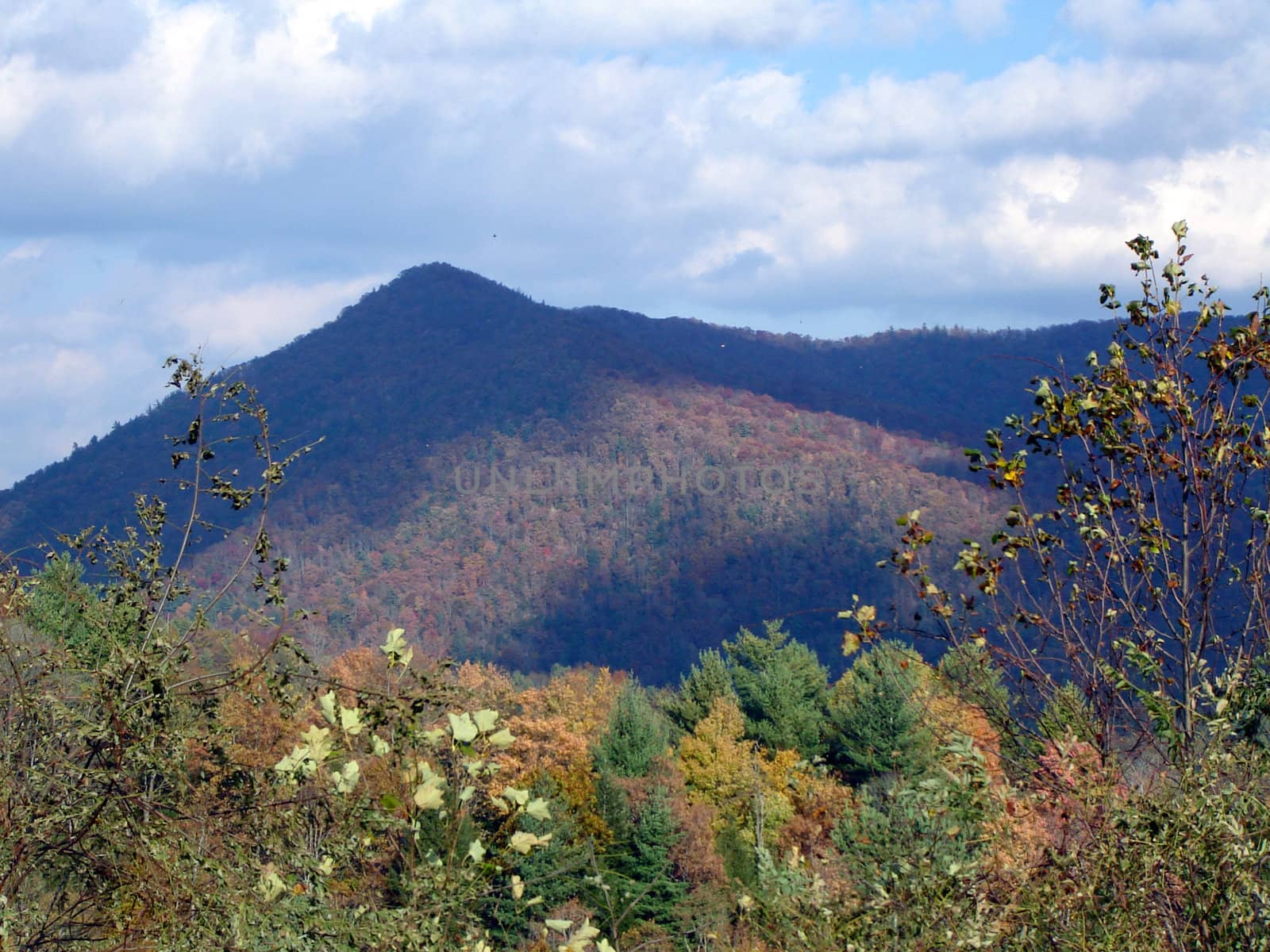 North Carolina in the Fall