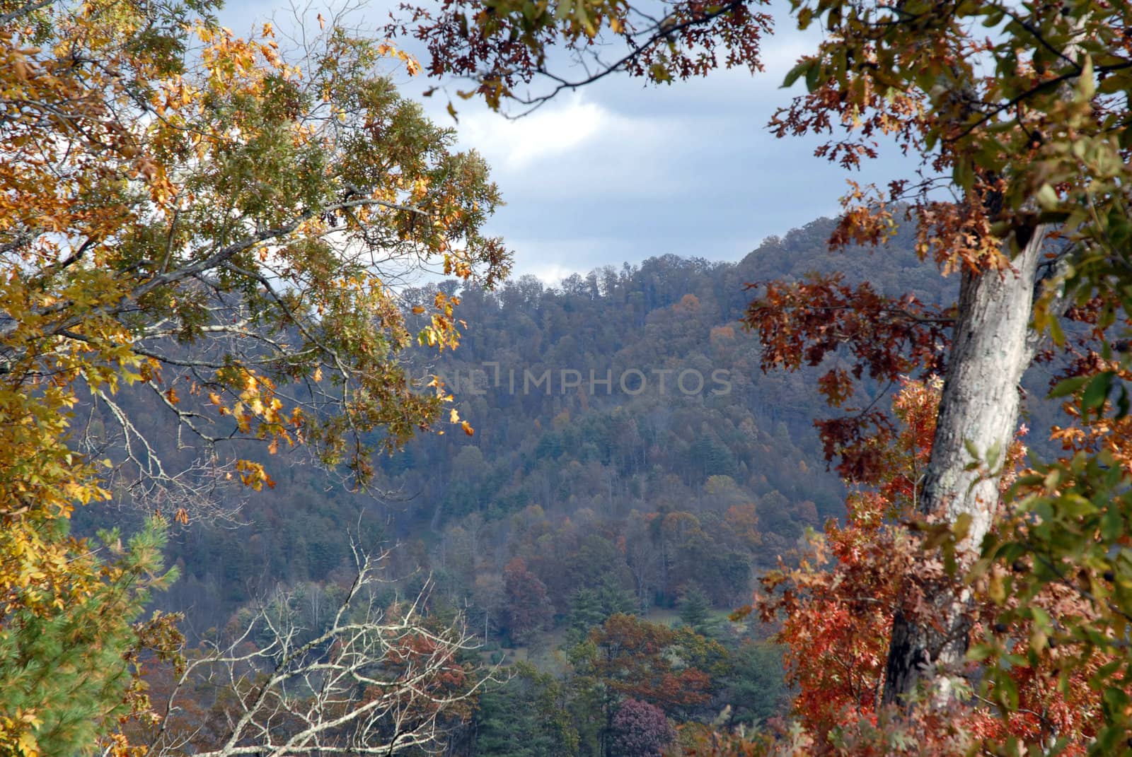 North Carolina in the Fall