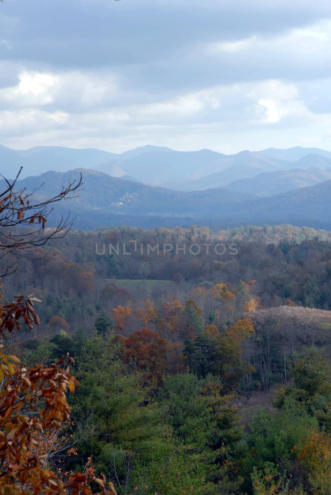 North Carolina in the Fall