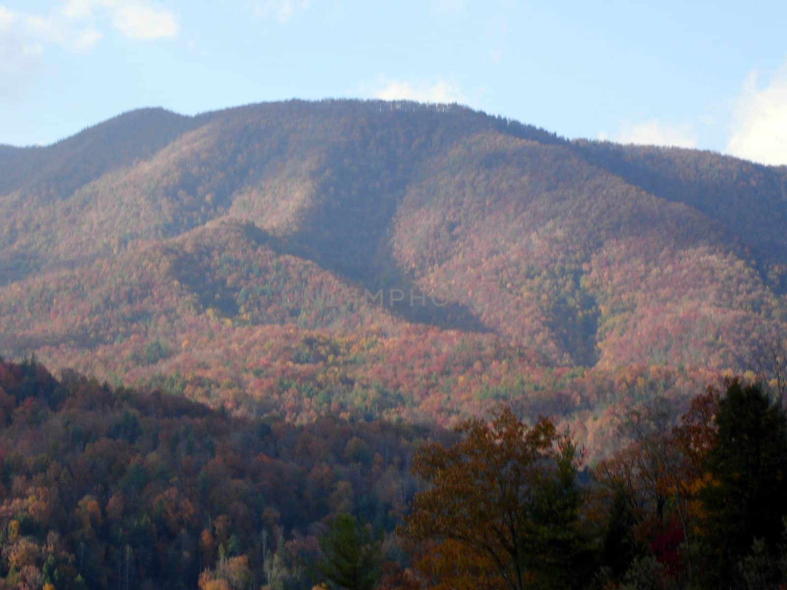 North Carolina in the Fall