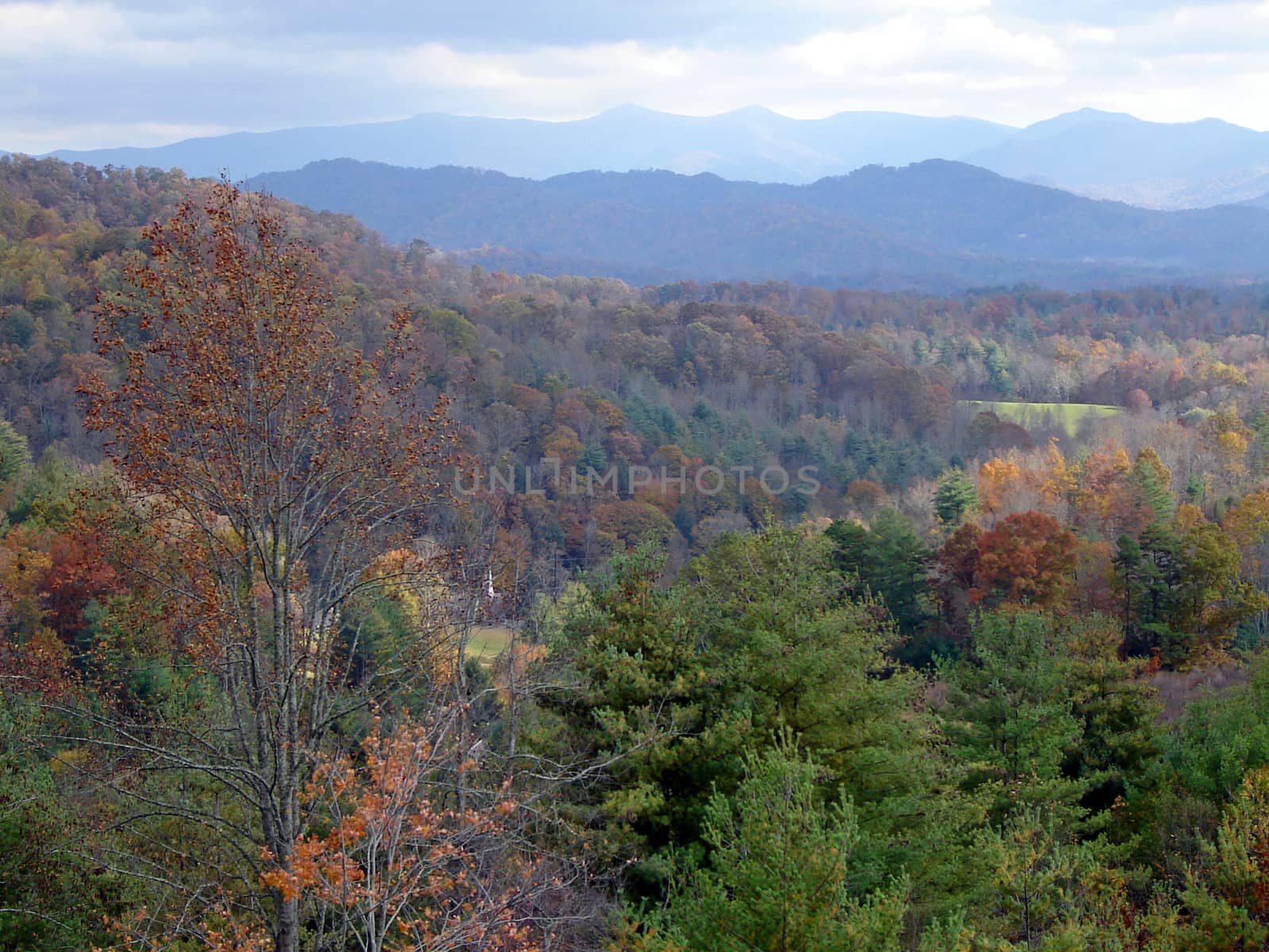 North Carolina in the Fall