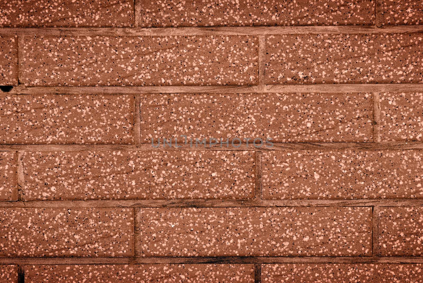 a wall of brown by elwynn