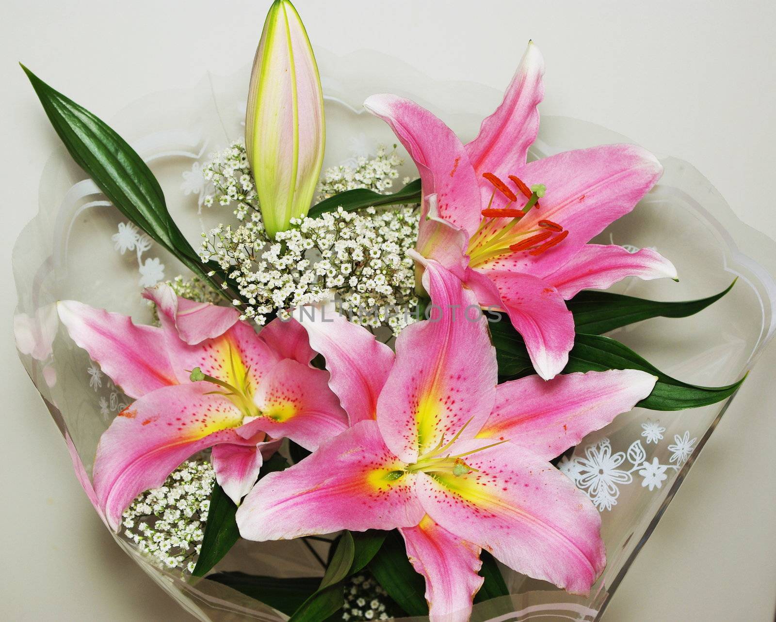 Bouquet of beautifull pink lillies close up