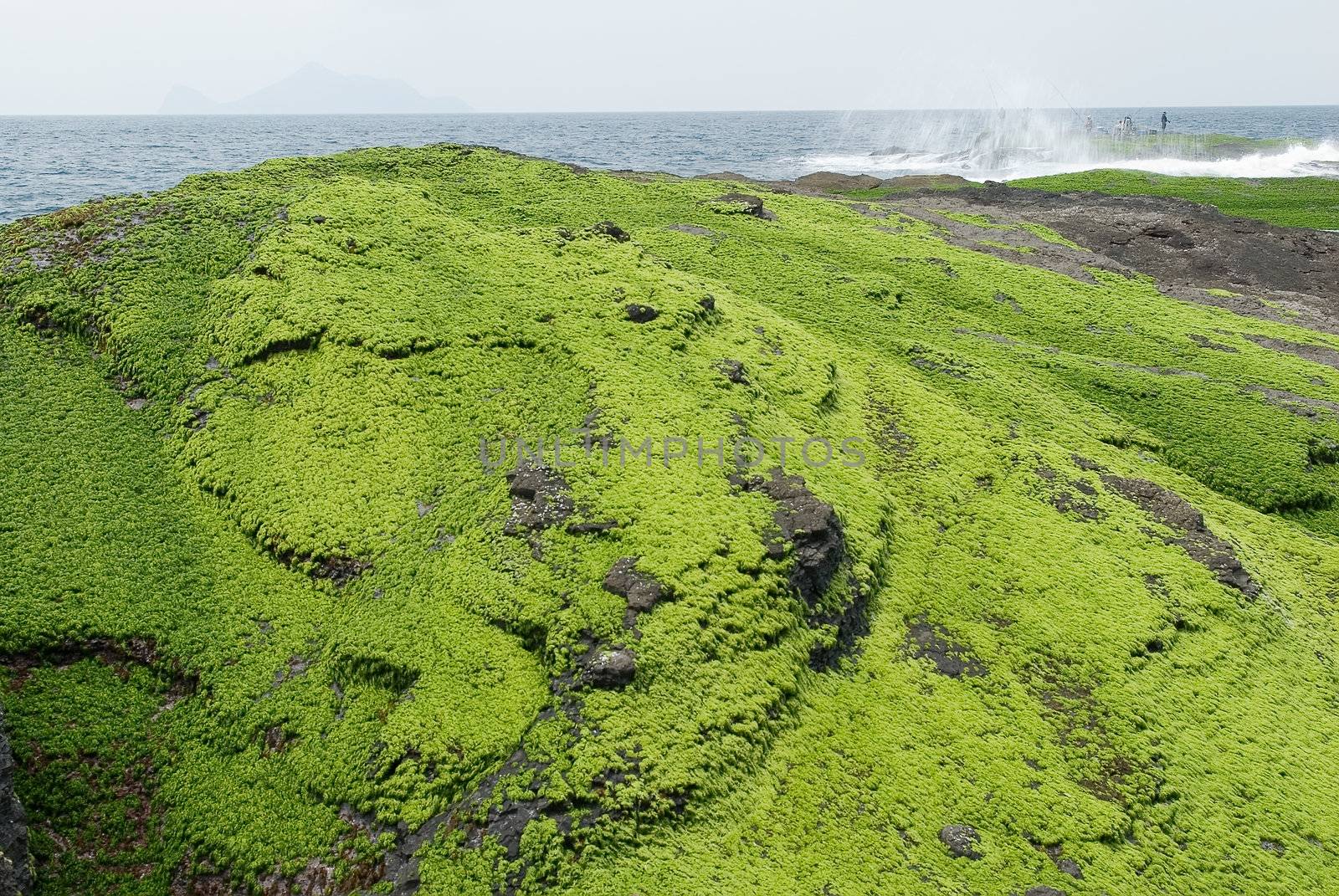 It is a green rock land and several fishman.