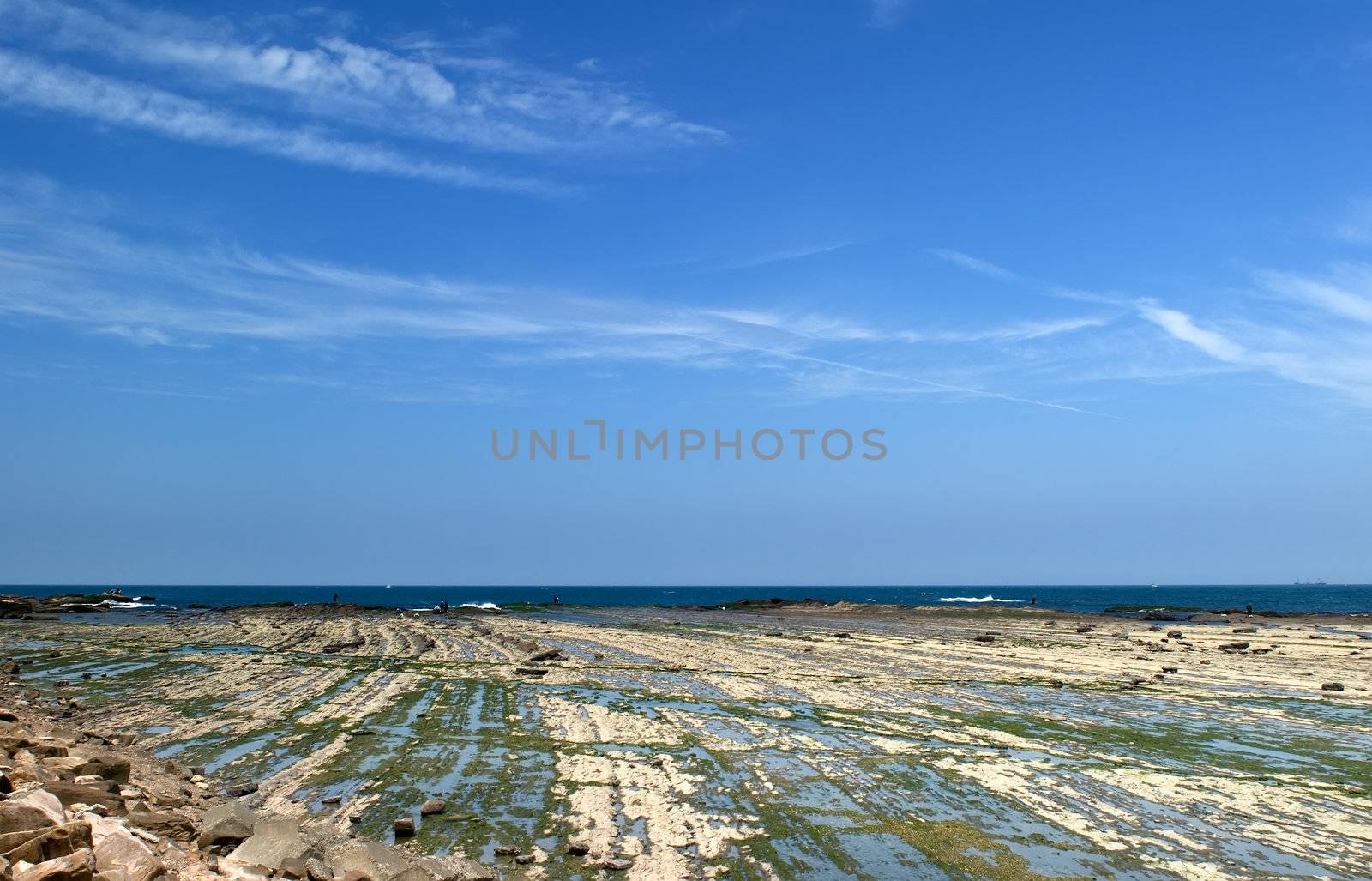 It is green rock seaweed land and blue sky.