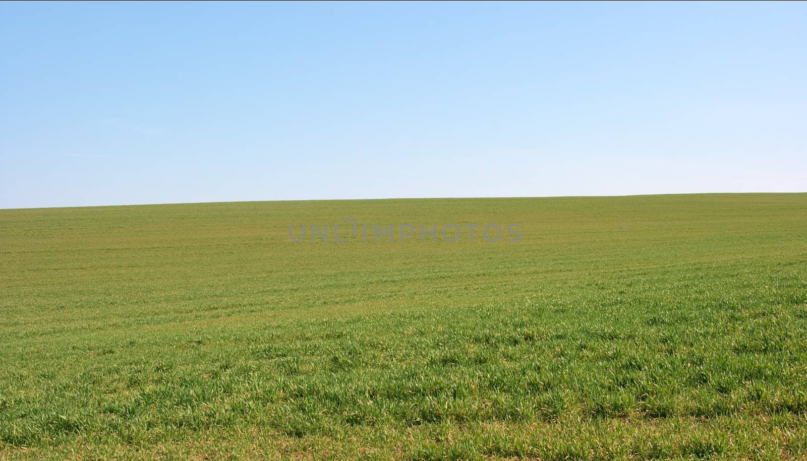 Green open field with small hills and blue sky