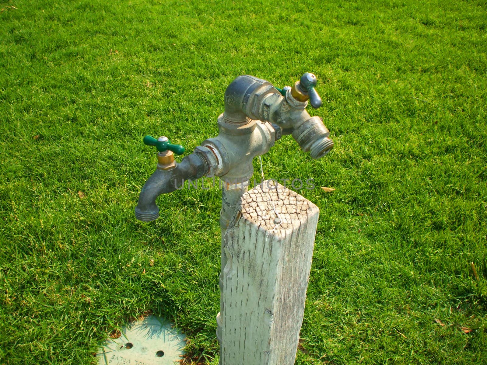 Drinking fountains on a sidewalk in a park.