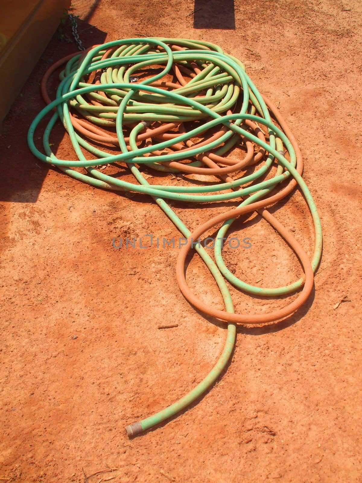 Water hose in a garden.