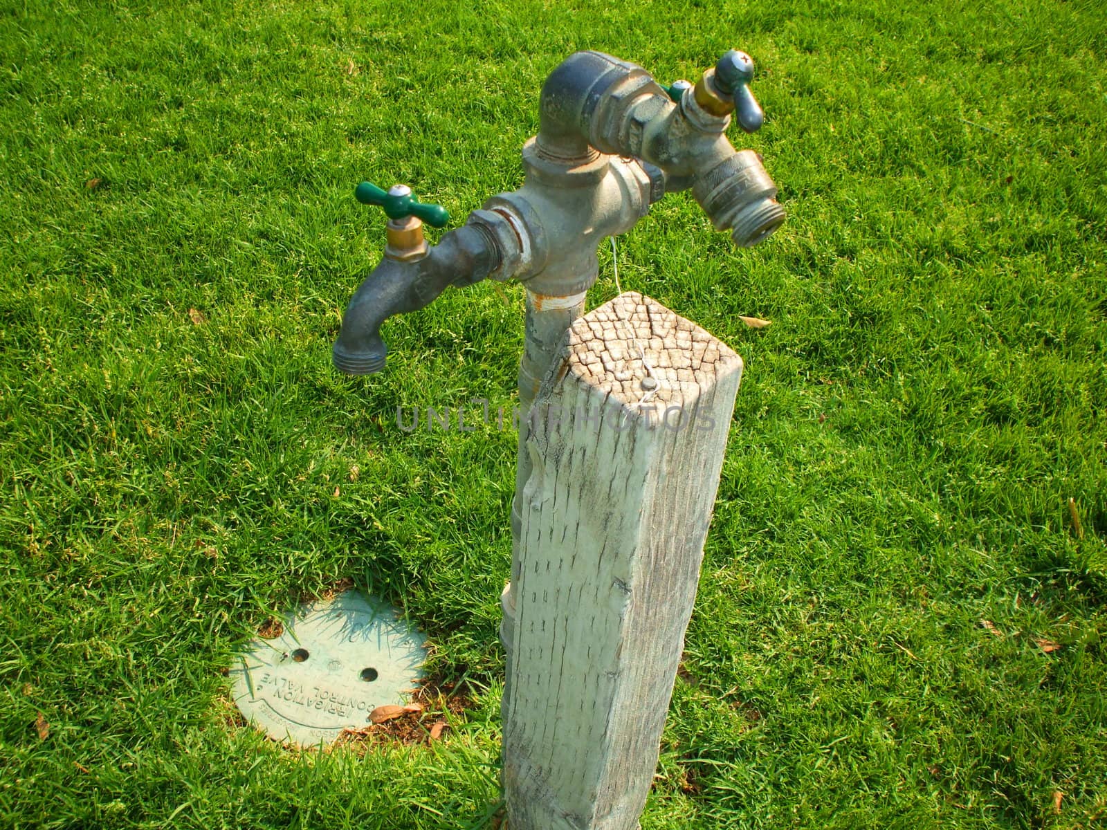 Drinking fountains on a sidewalk in a park.